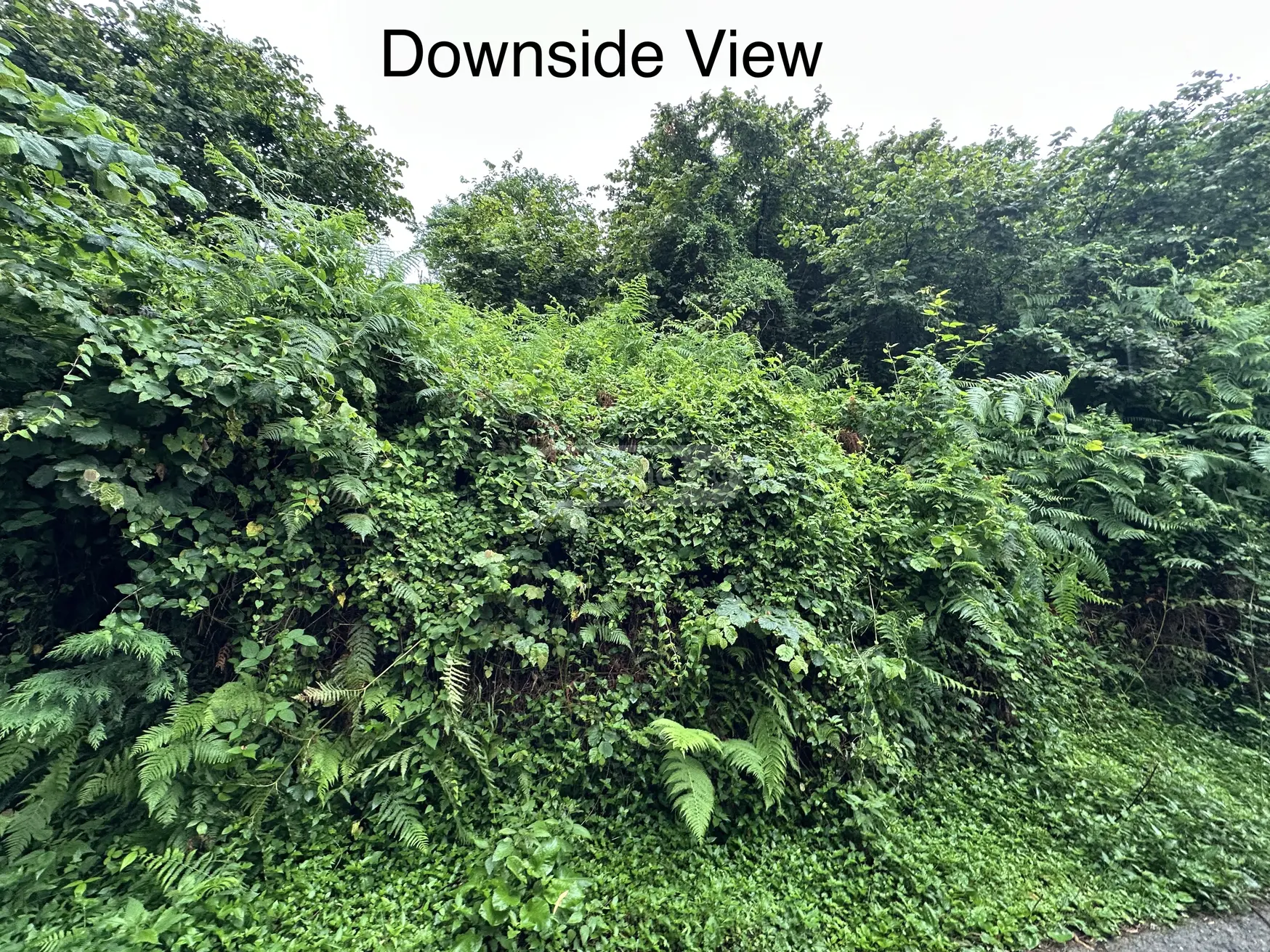 For Sale Sasoplo-Sameurneo Land Plot Khelvachauris Munitsipalitetshi view 8