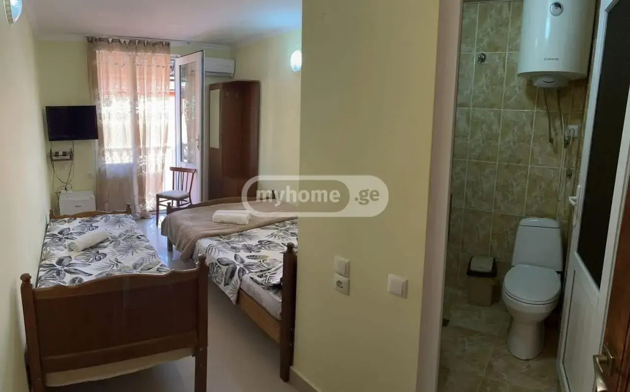 Daily Rent 10+ Room Sastumro Ozurgetis Munitsipalitetshi view 7