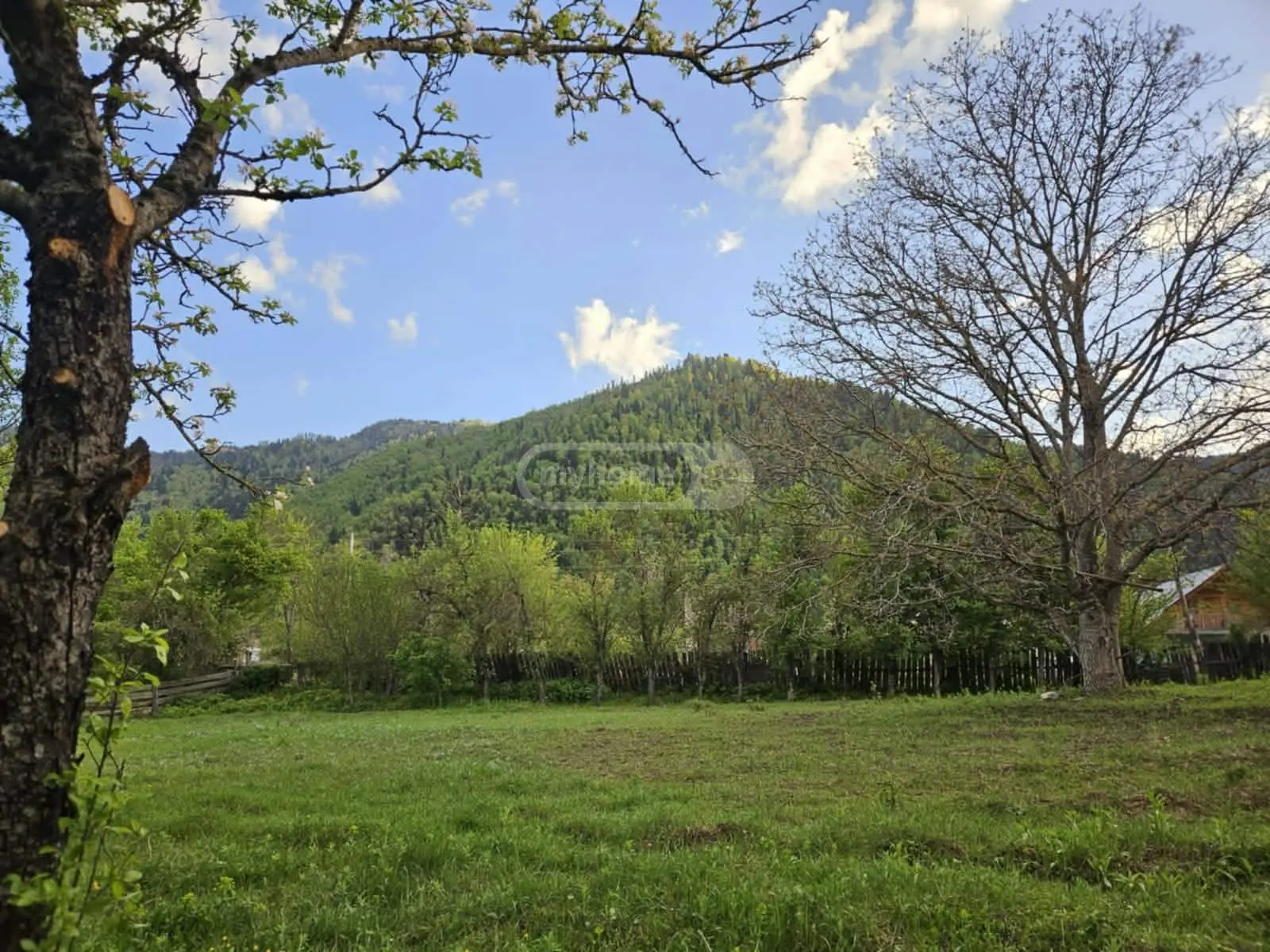 For Sale Sasoplo-Sameurneo Land Plot Borjomis Munitsipalitetshi view 1