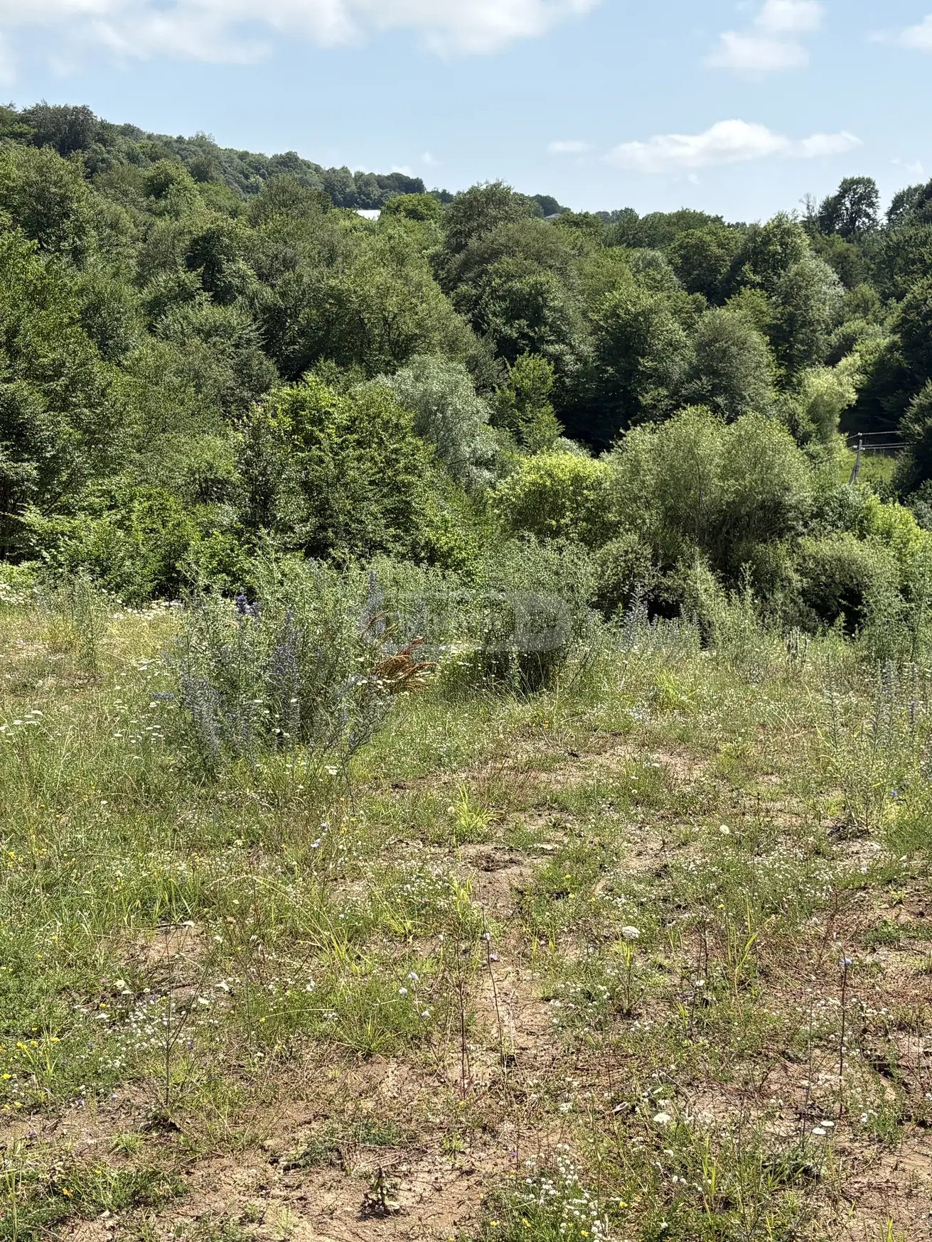 Продажа Земля / участок в Tianetis Munitsipalitetshi view 3