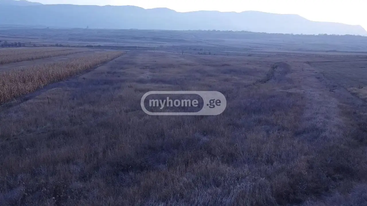 For Sale Sasoplo-Sameurneo Land Plot Kaspis Munitsipalitetshi view 2