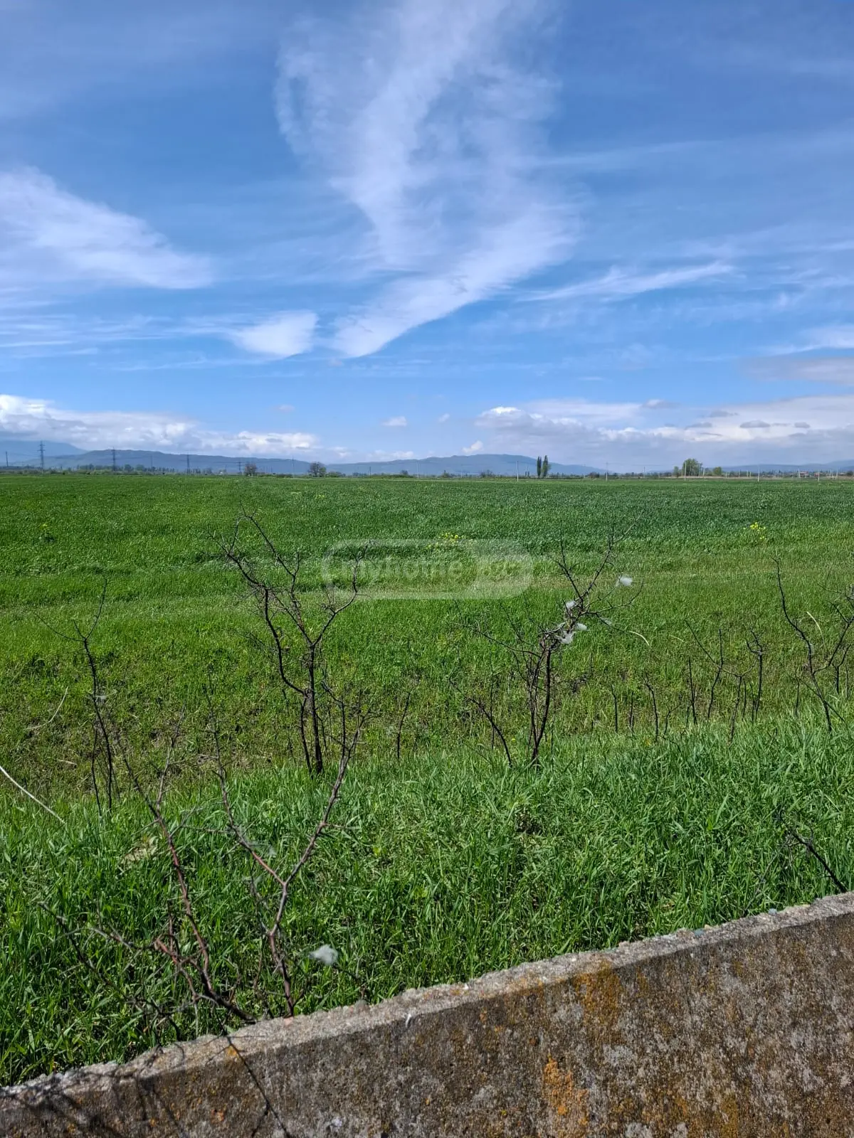 For Sale Sasoplo-Sameurneo Land Plot Mtskhetis Munitsipalitetshi view 3