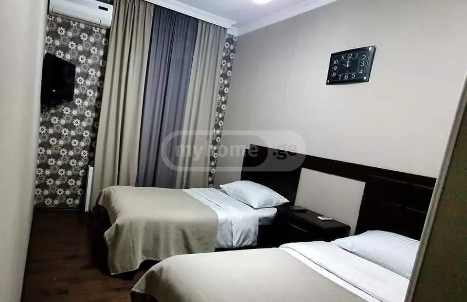 Daily Rent 10+ Room Sastumro Telavshi view 7