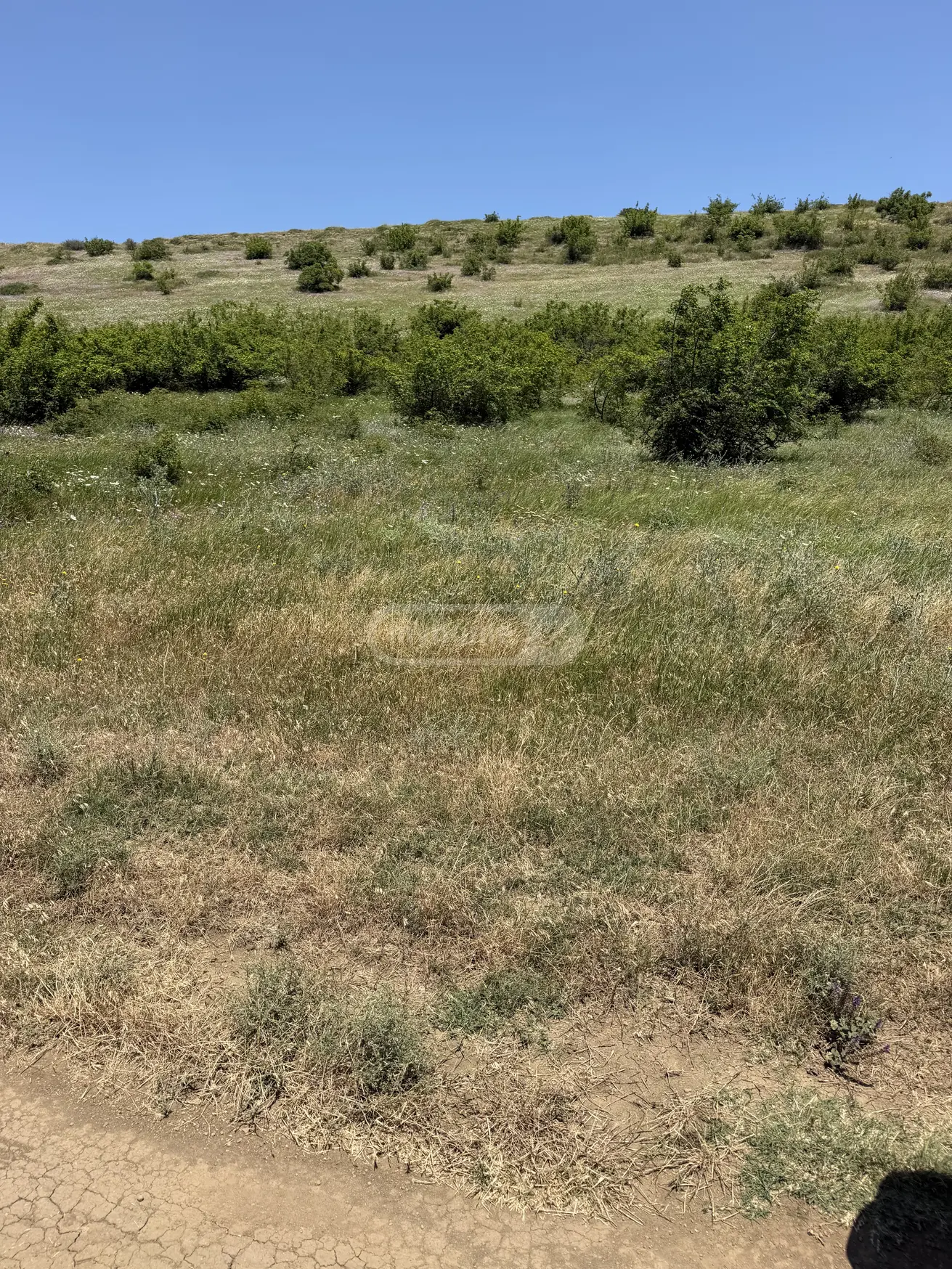 For Sale Sasoplo-Sameurneo Land Plot Lisze view 3