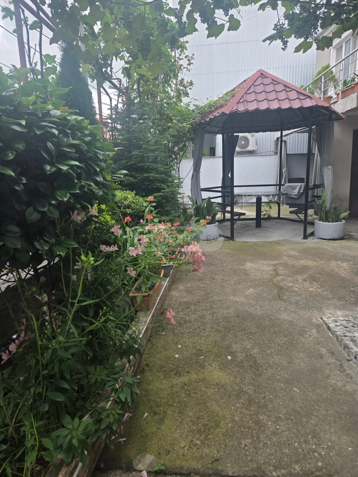 Daily Rent 10+ Room Private House Kobuletshi view 15