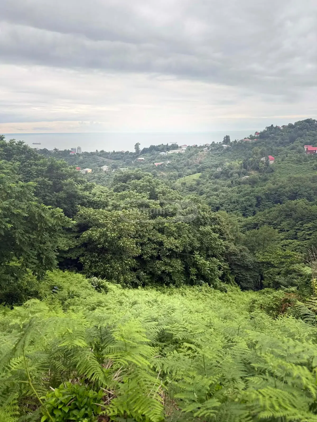 For Sale Sasoplo-Sameurneo Land Plot In Batumi view 1