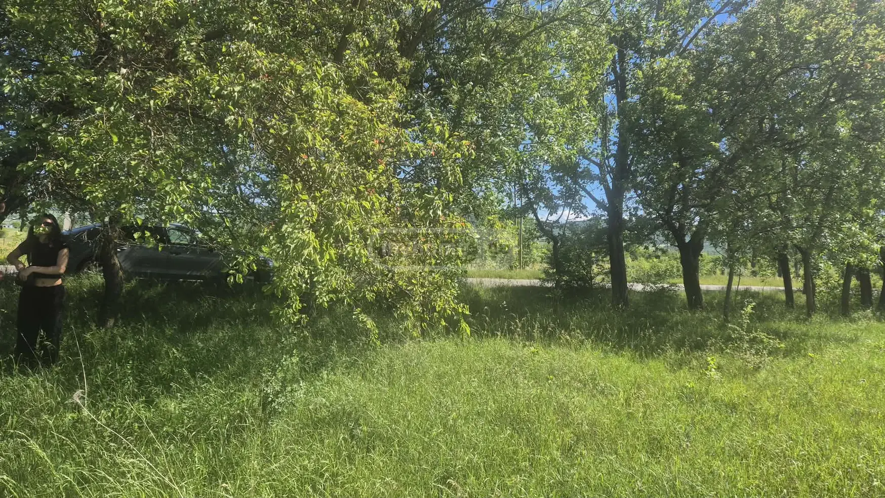 For Sale Sasoplo-Sameurneo Land Plot Dushetis Munitsipalitetshi view 4