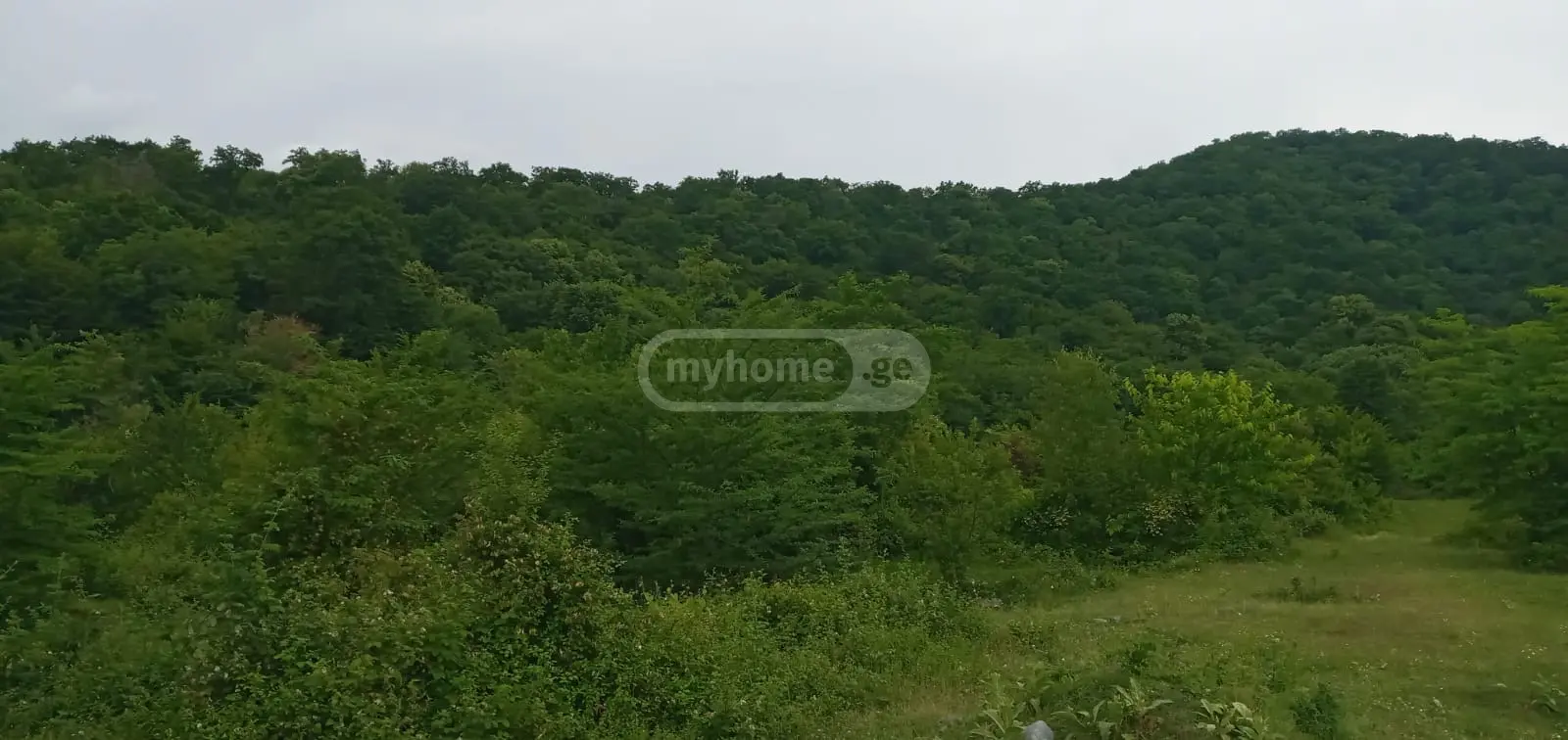 იყიდება მიწა / ნაკვეთი Lagodekhshiში view 1