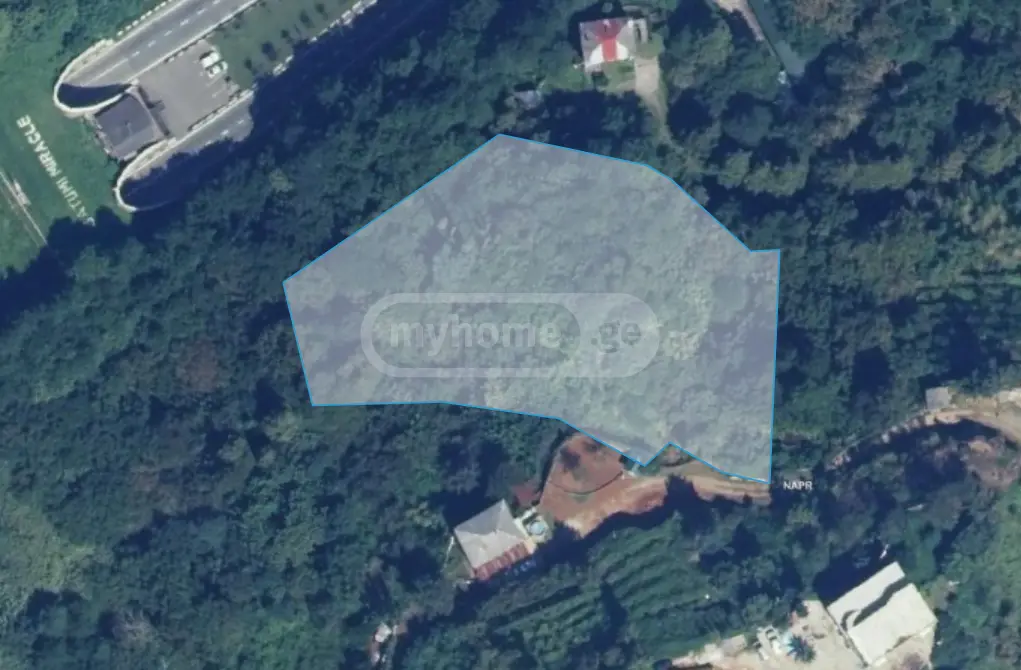 For Sale Sasoplo-Sameurneo Land Plot Kobuletis Munitsipalitetshi view 1