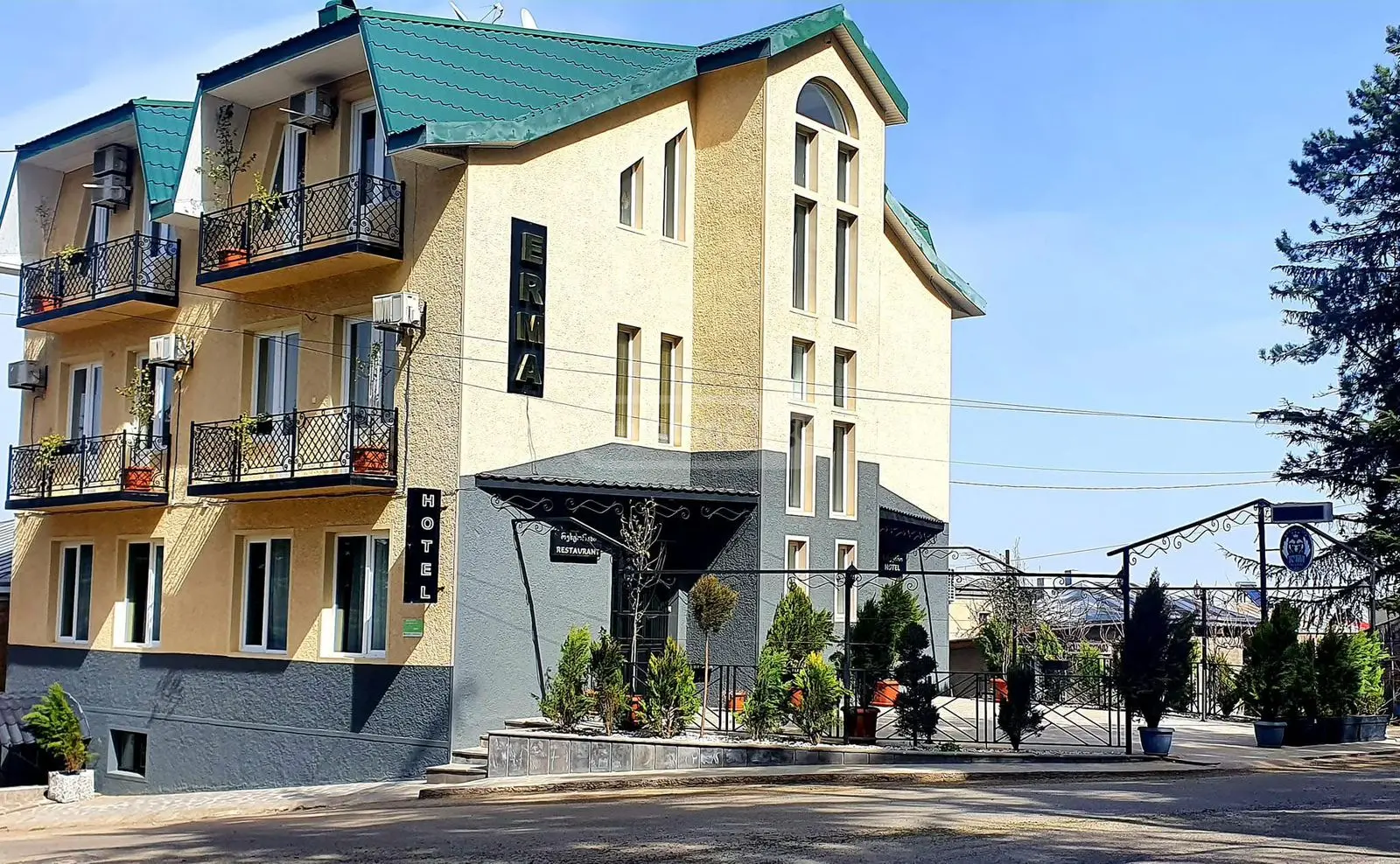 Daily Rent 10+ Room Sastumro Telavshi view 1