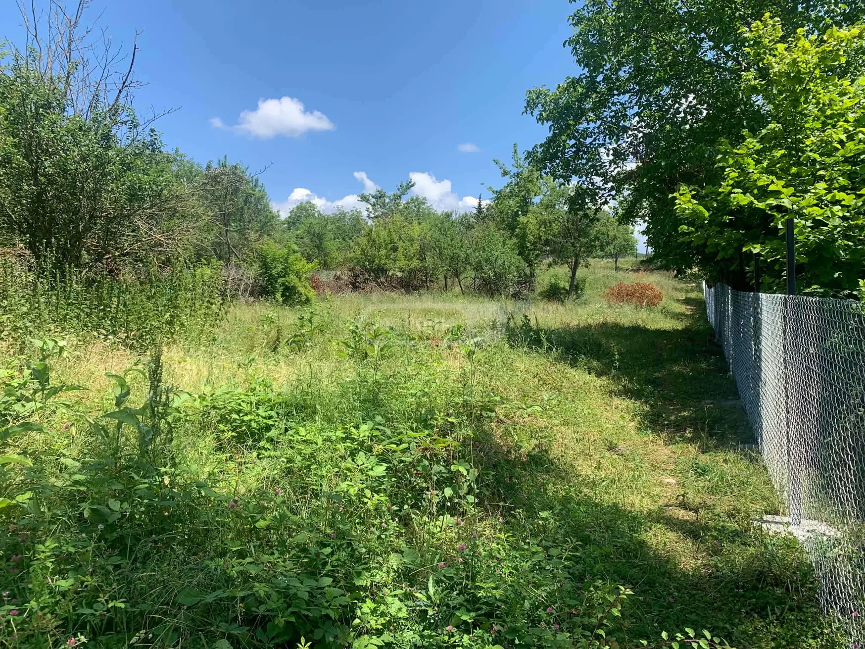 For Sale Sasoplo-Sameurneo Land Plot Dushetis Munitsipalitetshi view 5