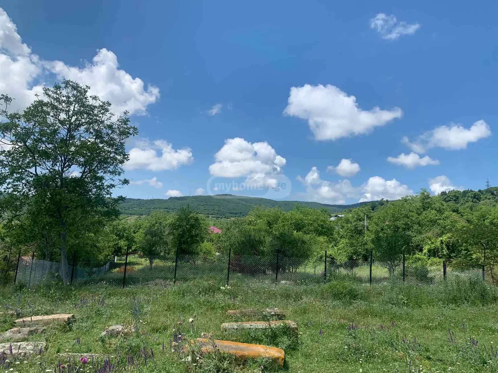 For Sale Sasoplo-Sameurneo Land Plot Dushetis Munitsipalitetshi view 12
