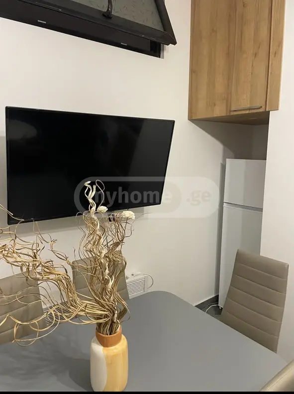 For Rent 2 Room Apartment view 3