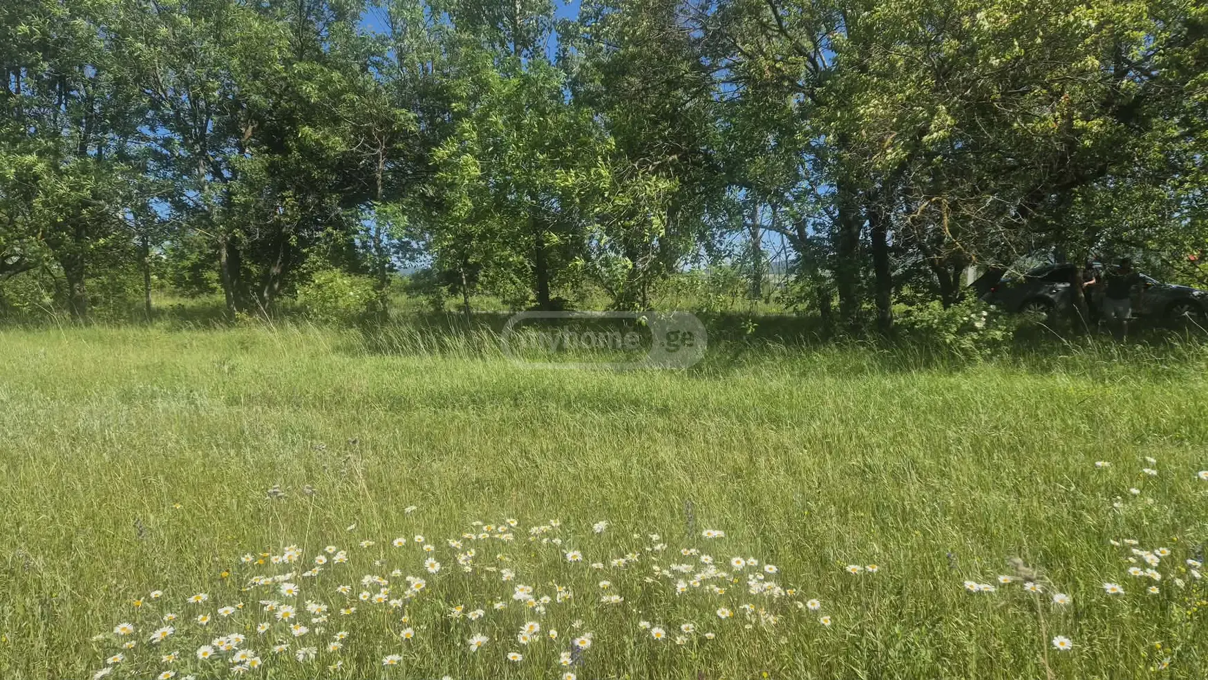 For Sale Sasoplo-Sameurneo Land Plot Dushetis Munitsipalitetshi view 3