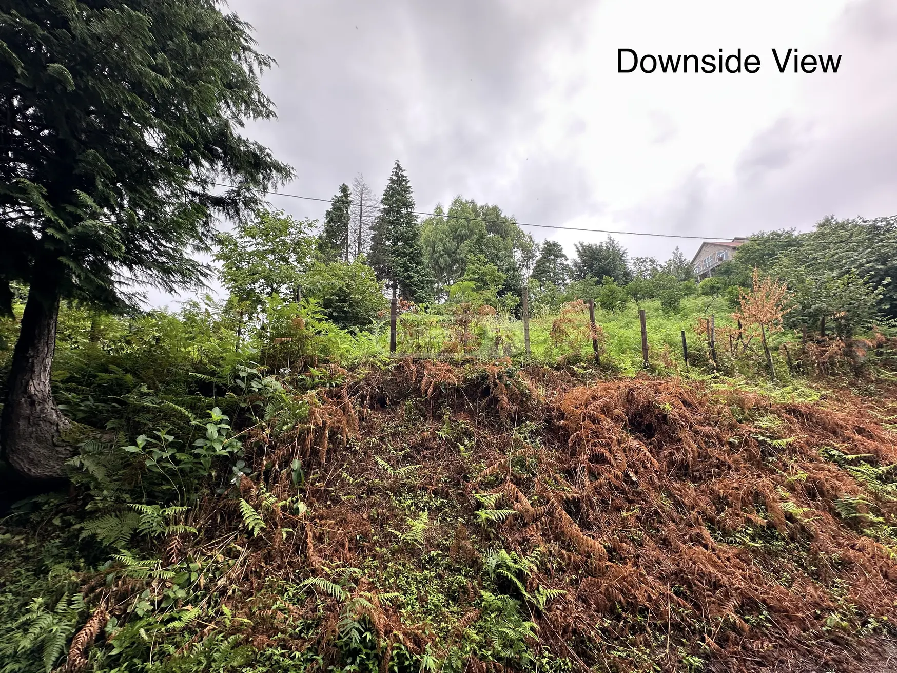 For Sale Sasoplo-Sameurneo Land Plot Khelvachauris Munitsipalitetshi view 2