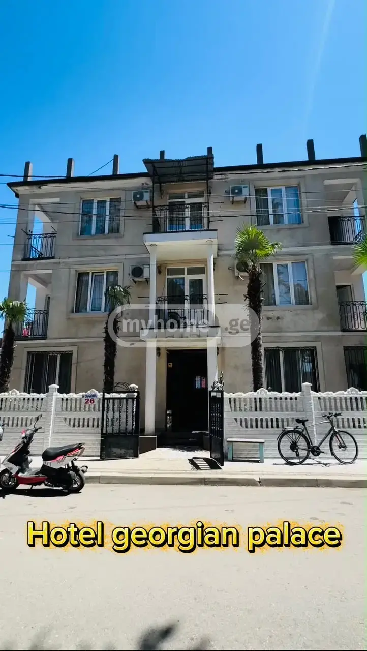 Daily Rent 10+ Room Sastumro Ozurgetis Munitsipalitetshi view 2
