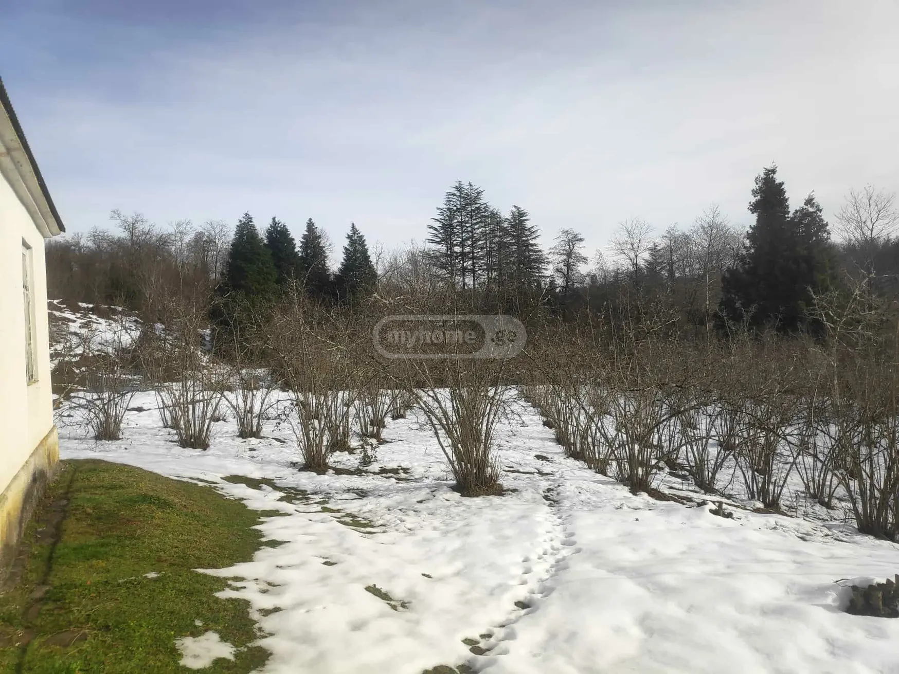 For Sale 4 Room Apartment Zugdidshi view 10