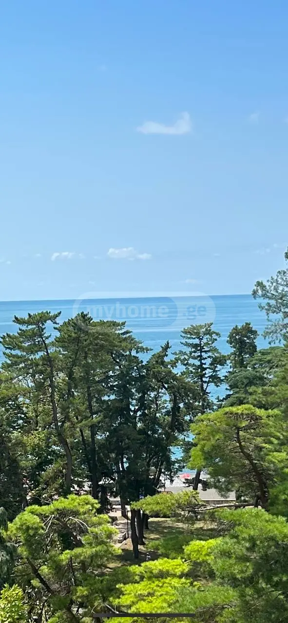 Продажа 3-комната Квартира в Kobuletshi view 2