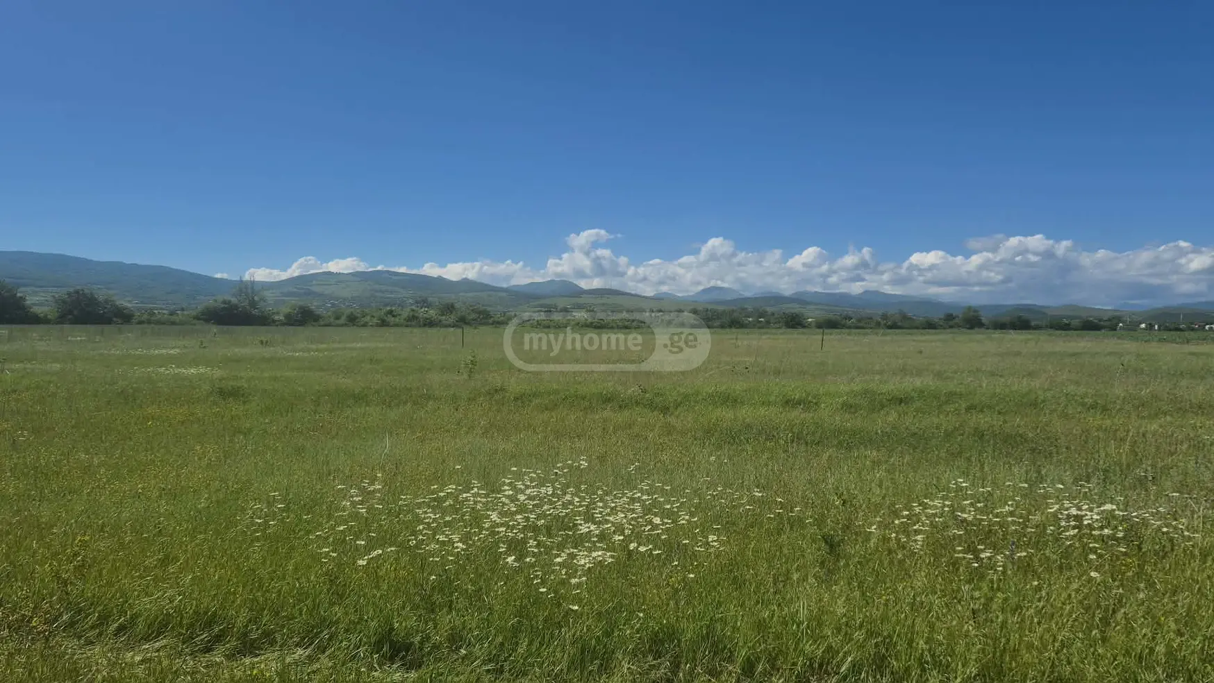 For Sale Sasoplo-Sameurneo Land Plot Dushetis Munitsipalitetshi view 5