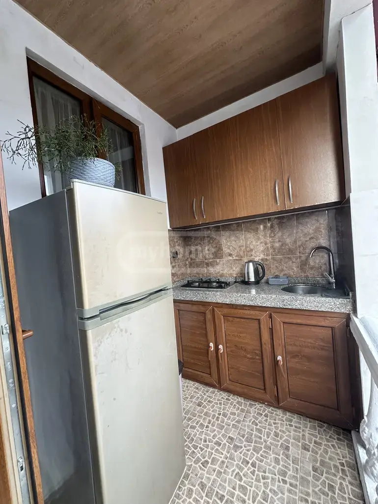 Daily Rent 10+ Room Private House In Batumi view 4
