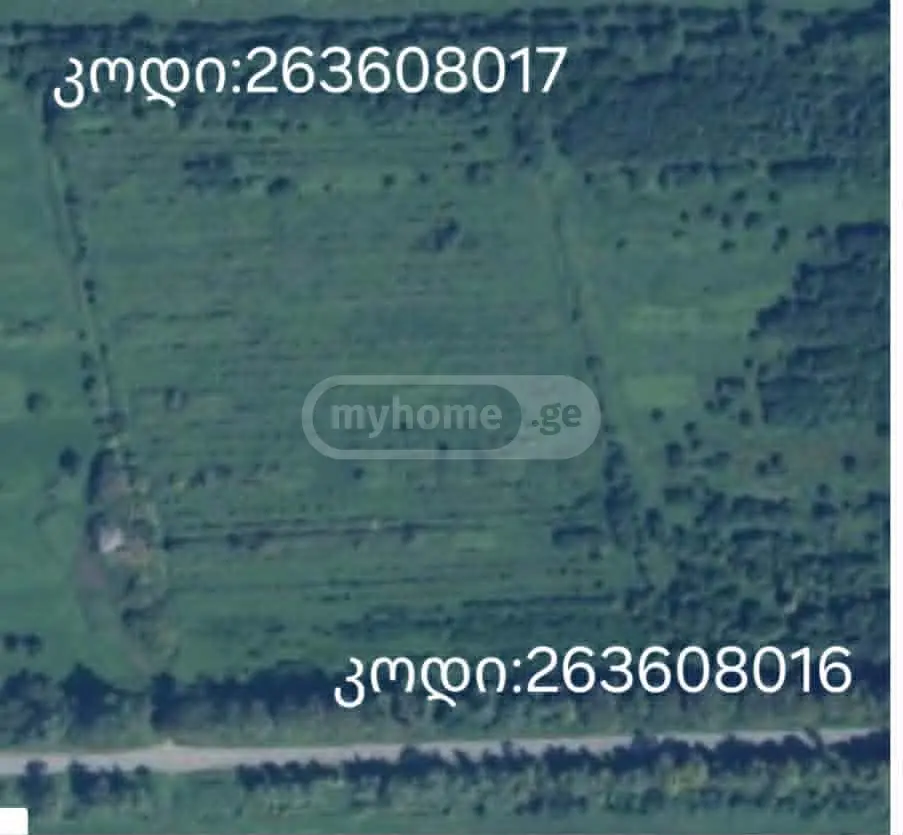 For Sale Sasoplo-Sameurneo Land Plot Ozurgetis Munitsipalitetshi view 1