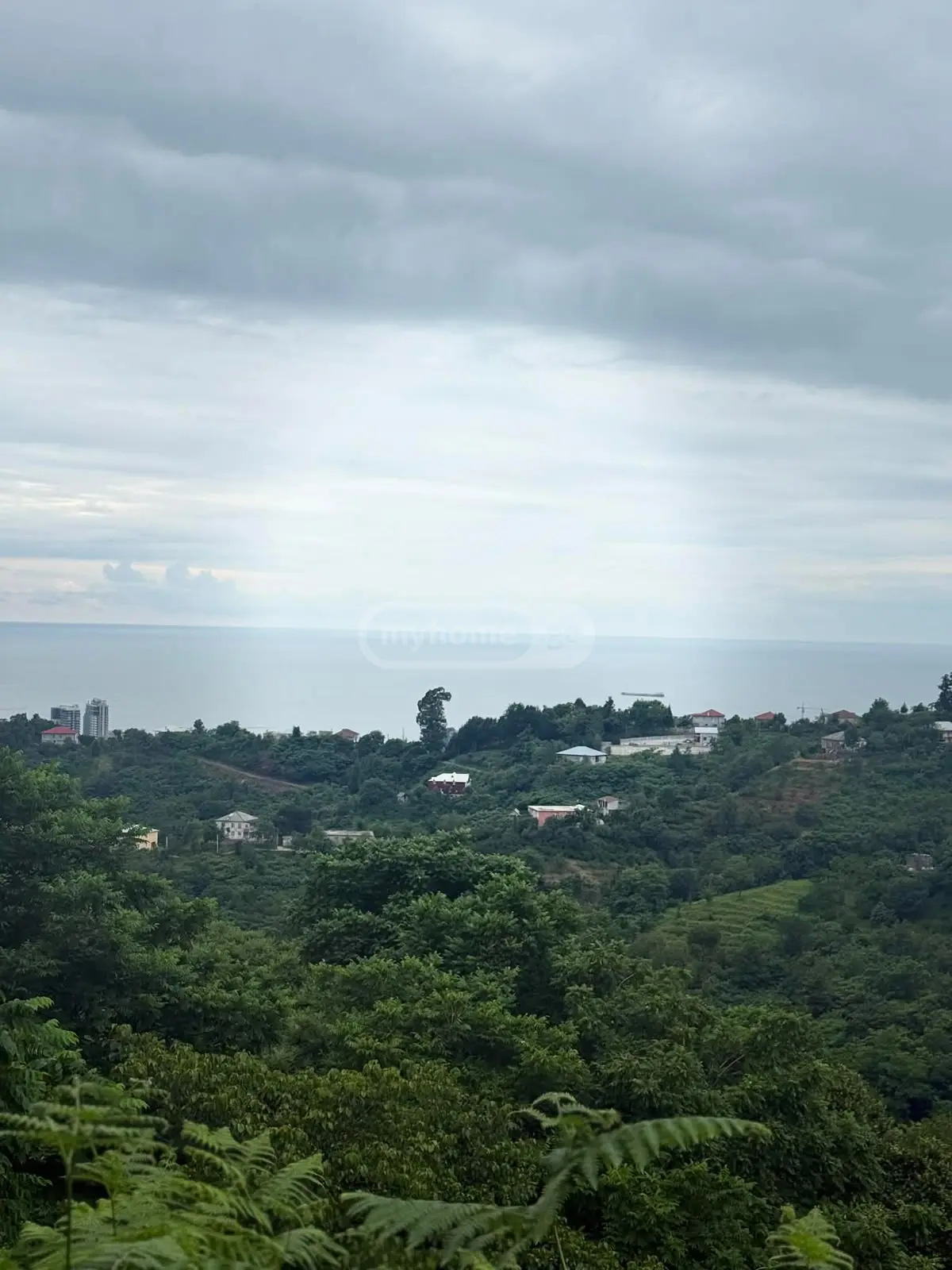 For Sale Sasoplo-Sameurneo Land Plot In Batumi view 2