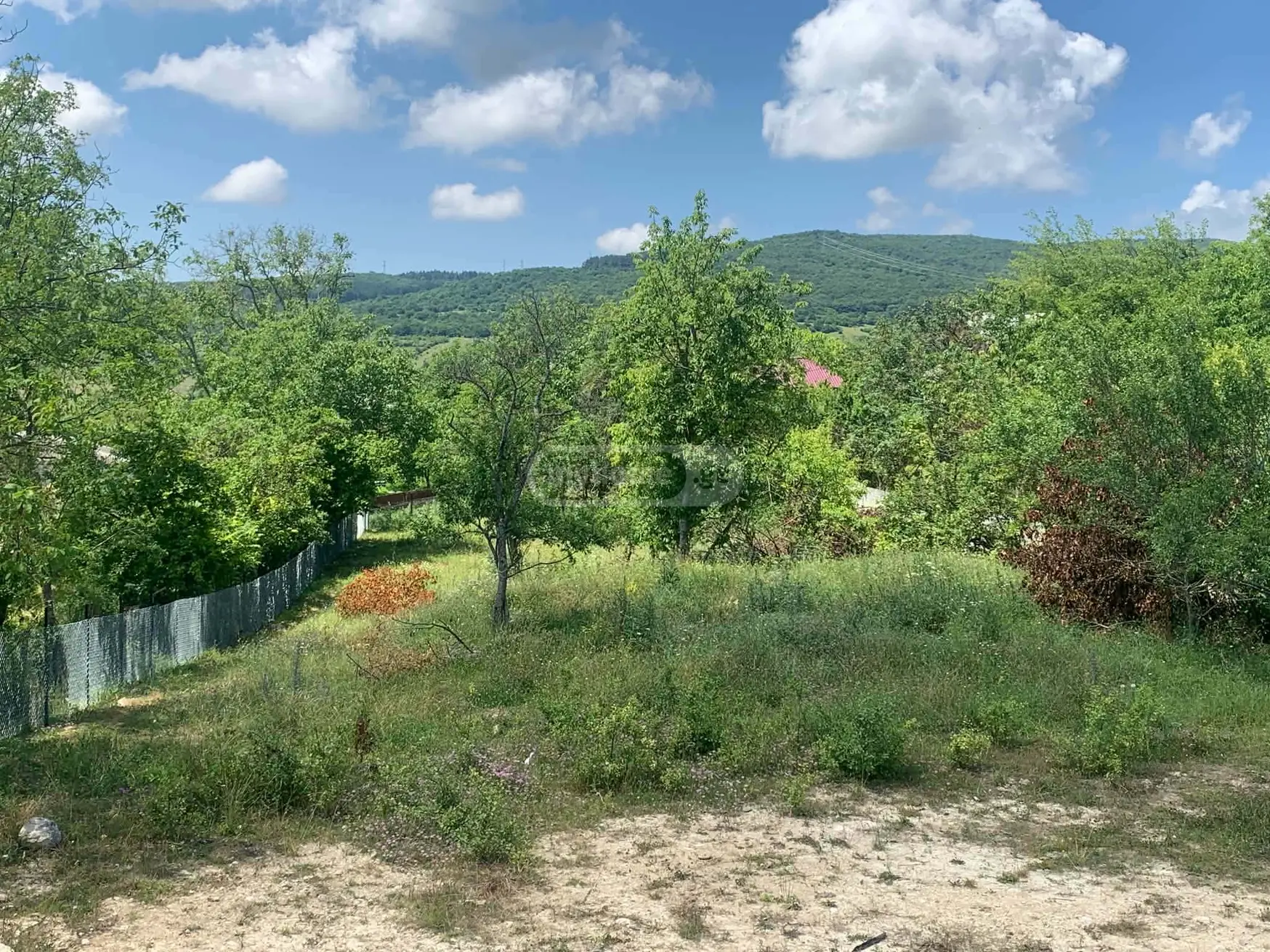 For Sale Sasoplo-Sameurneo Land Plot Dushetis Munitsipalitetshi view 14
