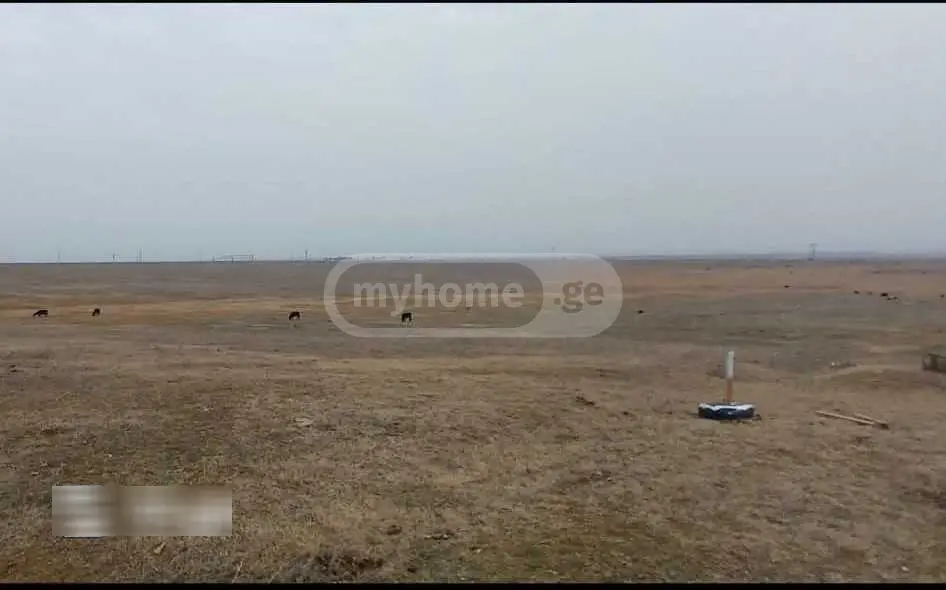 For Sale Sasoplo-Sameurneo Land Plot Gardabnis Munitsipalitetshi view 4