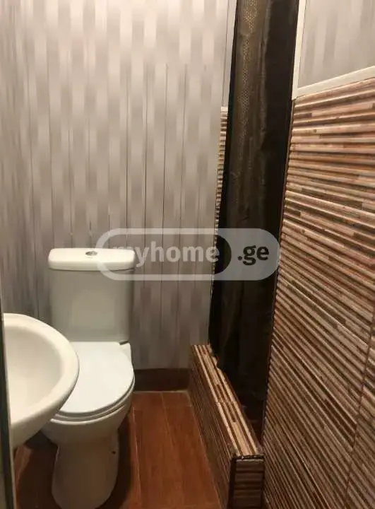 1 Room Flat For Rent. Chugureti view 17