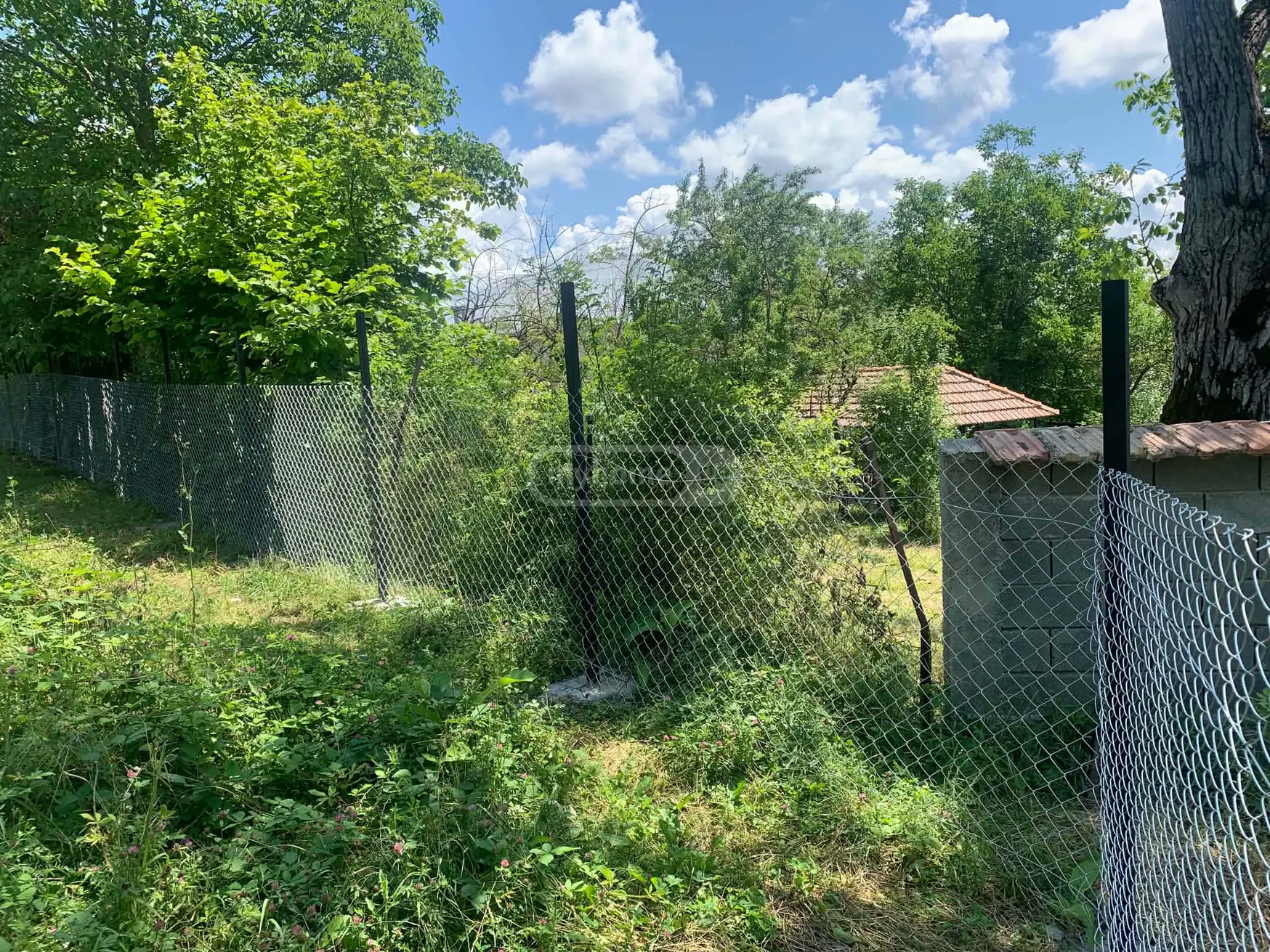 For Sale Sasoplo-Sameurneo Land Plot Dushetis Munitsipalitetshi view 6