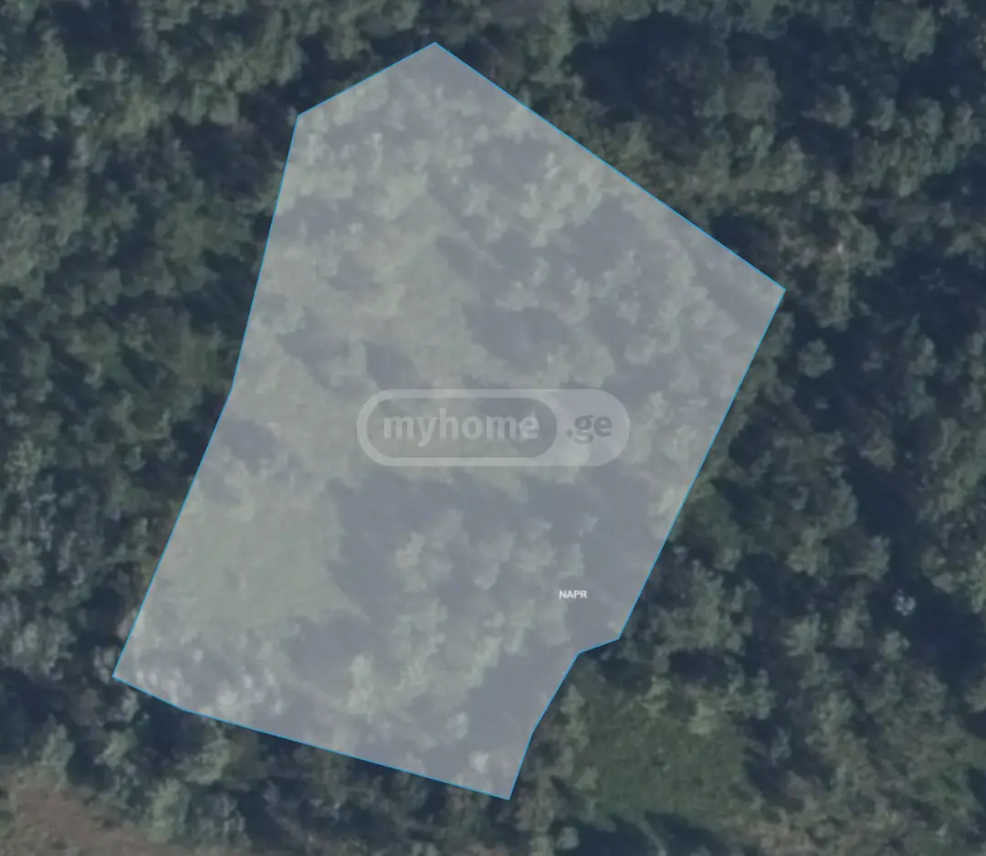 For Sale Sasoplo-Sameurneo Land Plot Tsqaltuboshi view 1