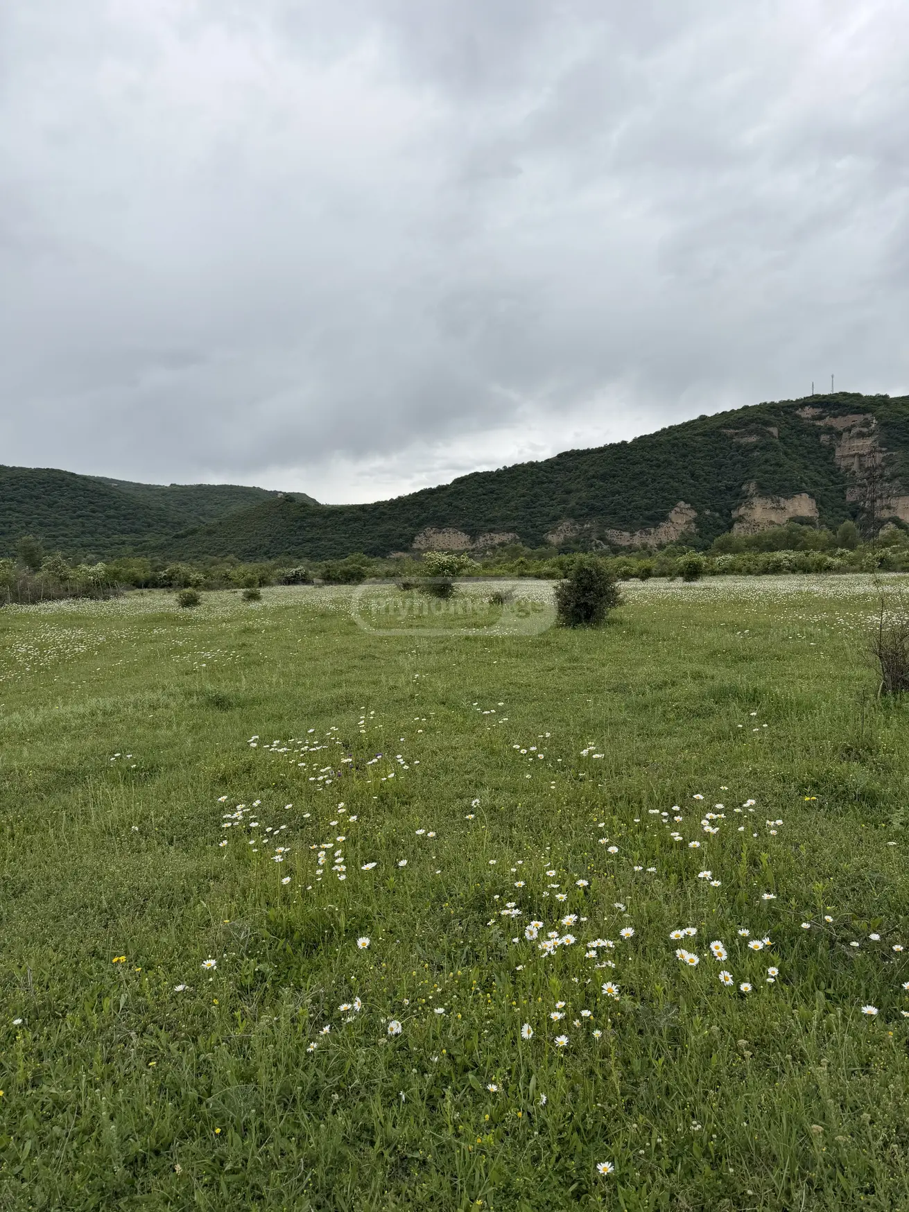 Продажа Земля / участок в Dushetis Munitsipalitetshi view 2