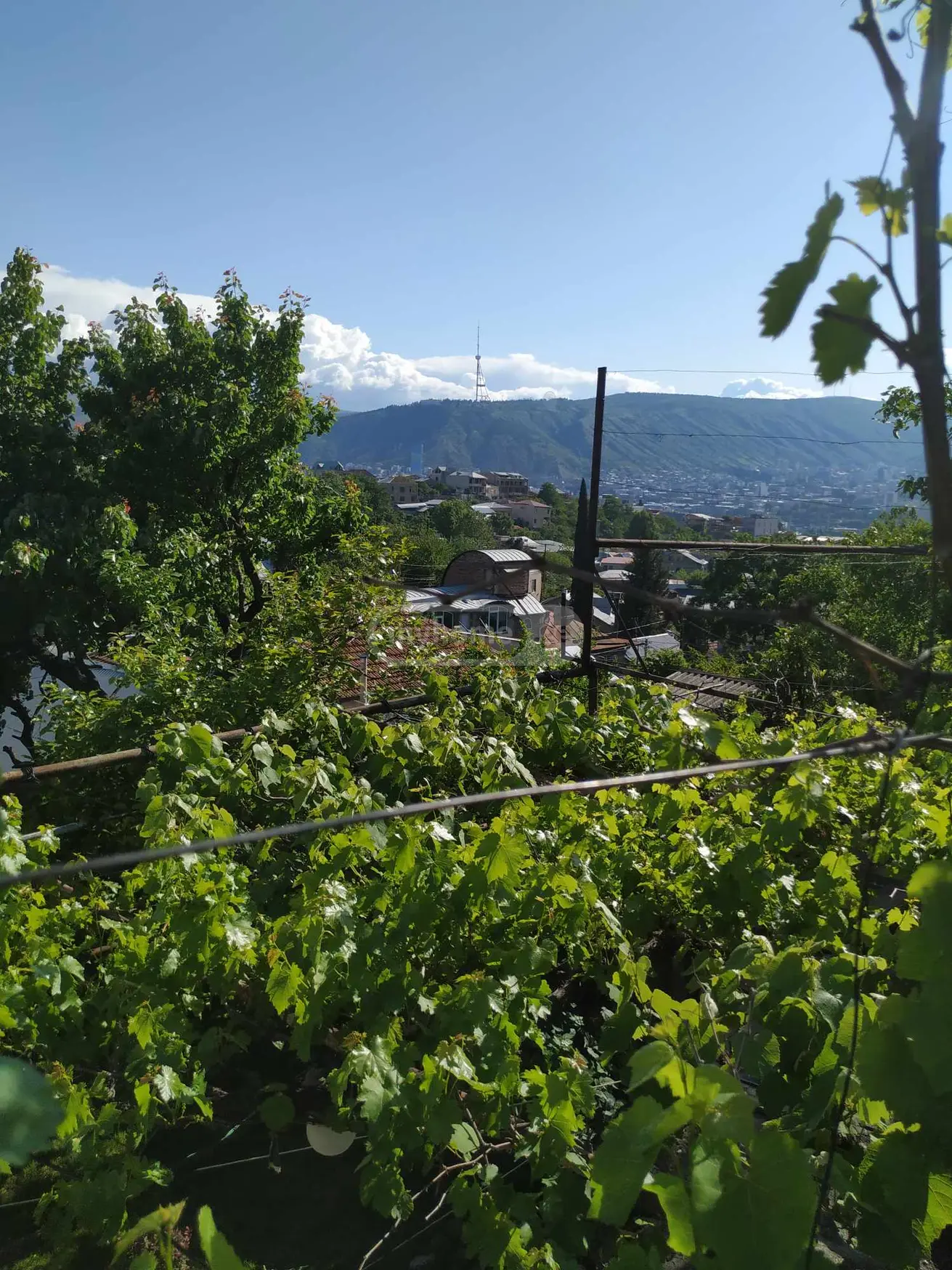 For Sale Ara Sasoplo-Sameurneo Land Plot Chughuretshi view 1