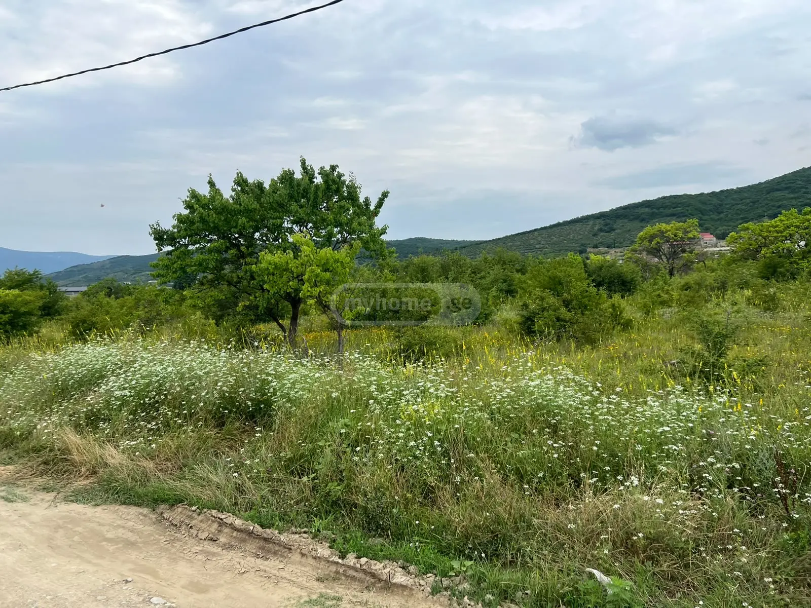 For Sale Sasoplo-Sameurneo Land Plot Mtskhetis Munitsipalitetshi view 3