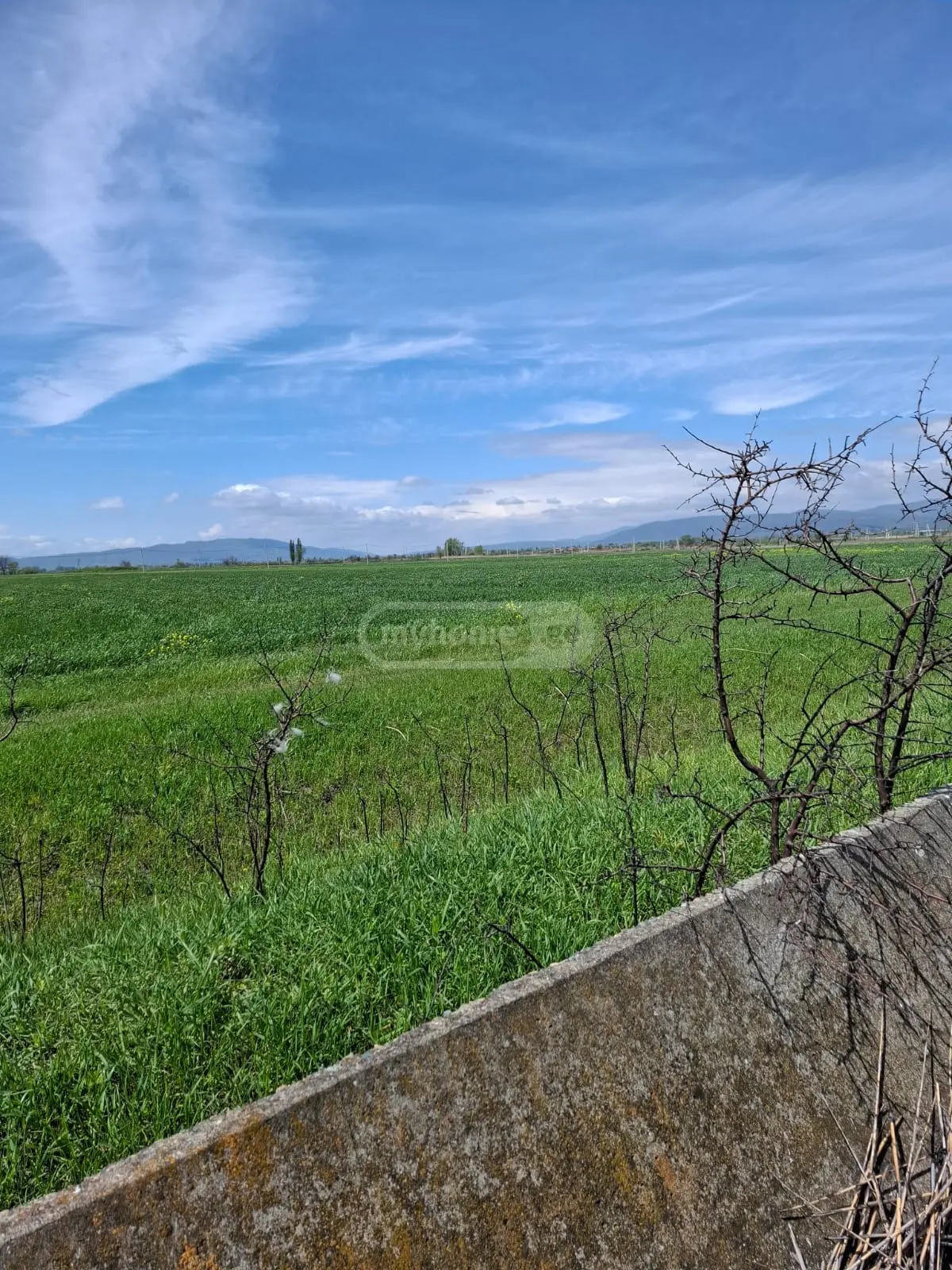 For Sale Sasoplo-Sameurneo Land Plot Mtskhetis Munitsipalitetshi view 2