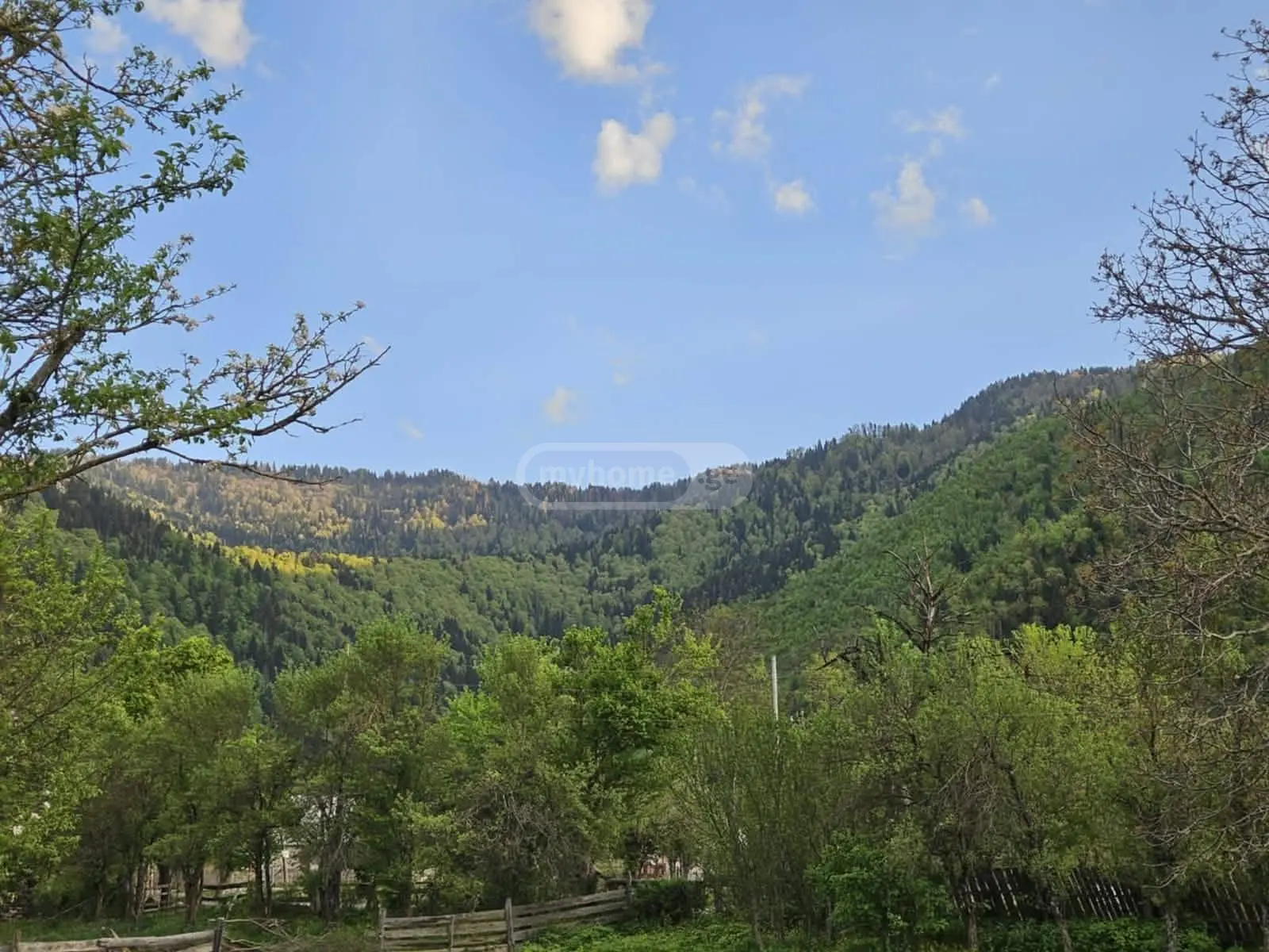 For Sale Sasoplo-Sameurneo Land Plot Borjomis Munitsipalitetshi view 3