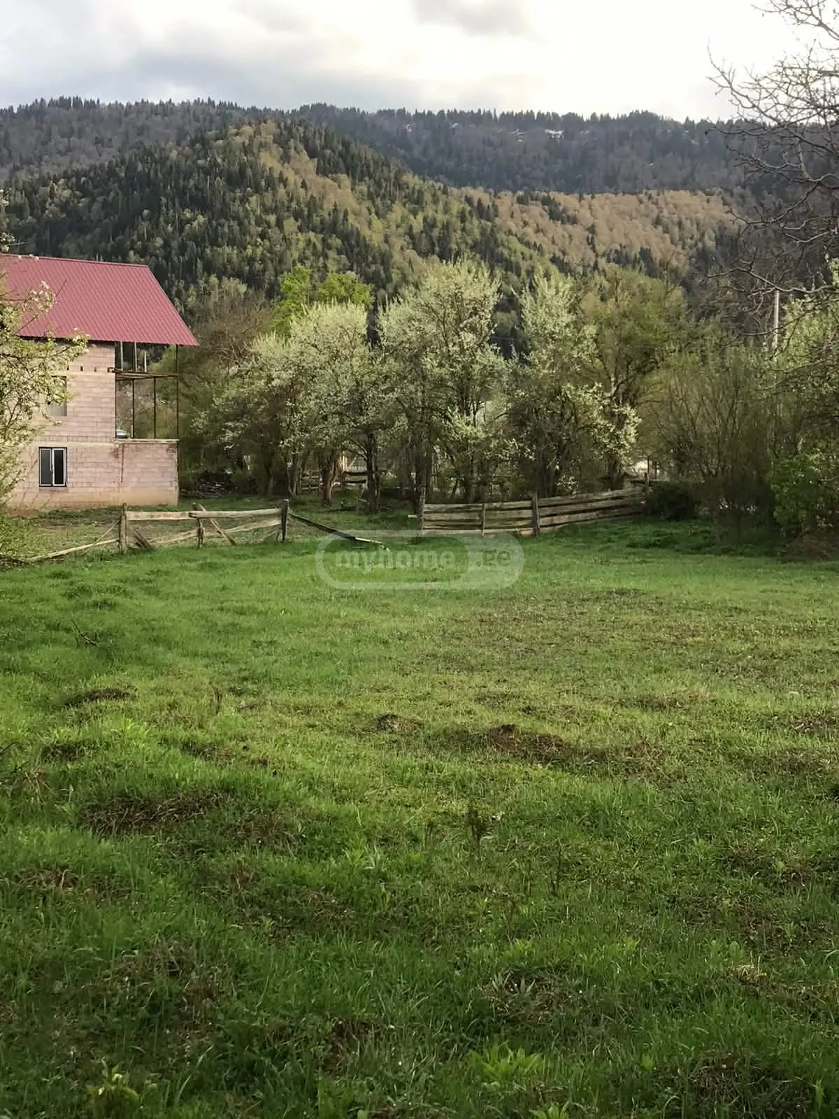 For Sale Sasoplo-Sameurneo Land Plot Borjomis Munitsipalitetshi view 2