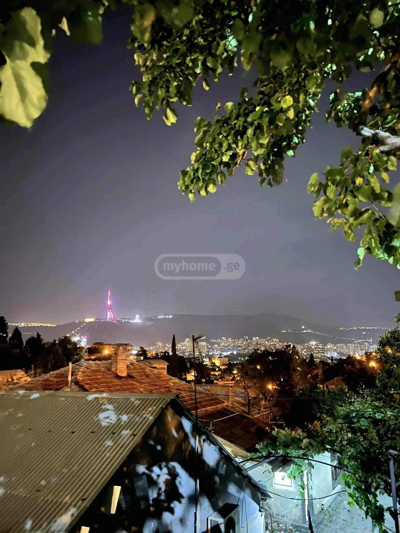 For Sale Ara Sasoplo-Sameurneo Land Plot Chughuretshi view 8