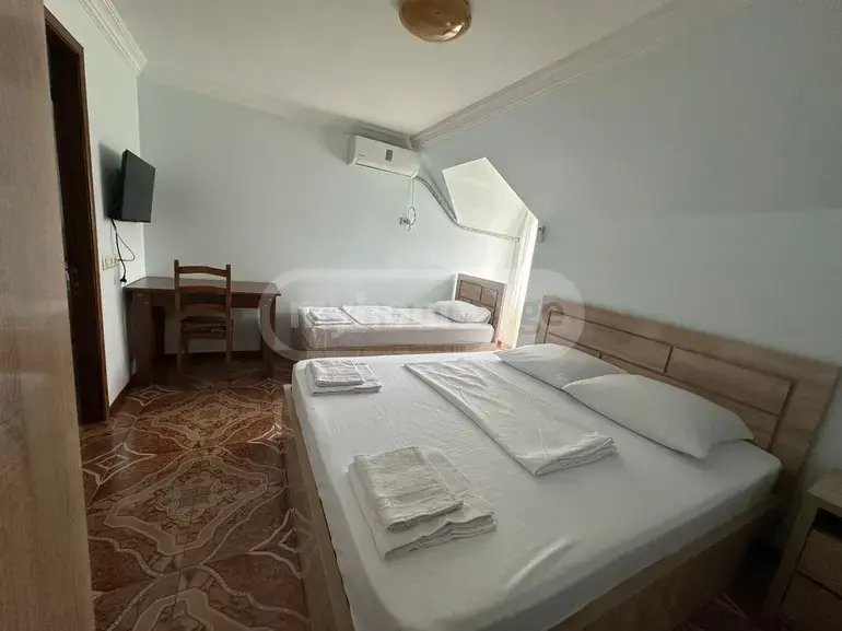 Daily Rent 10+ Room Private House In Batumi view 3