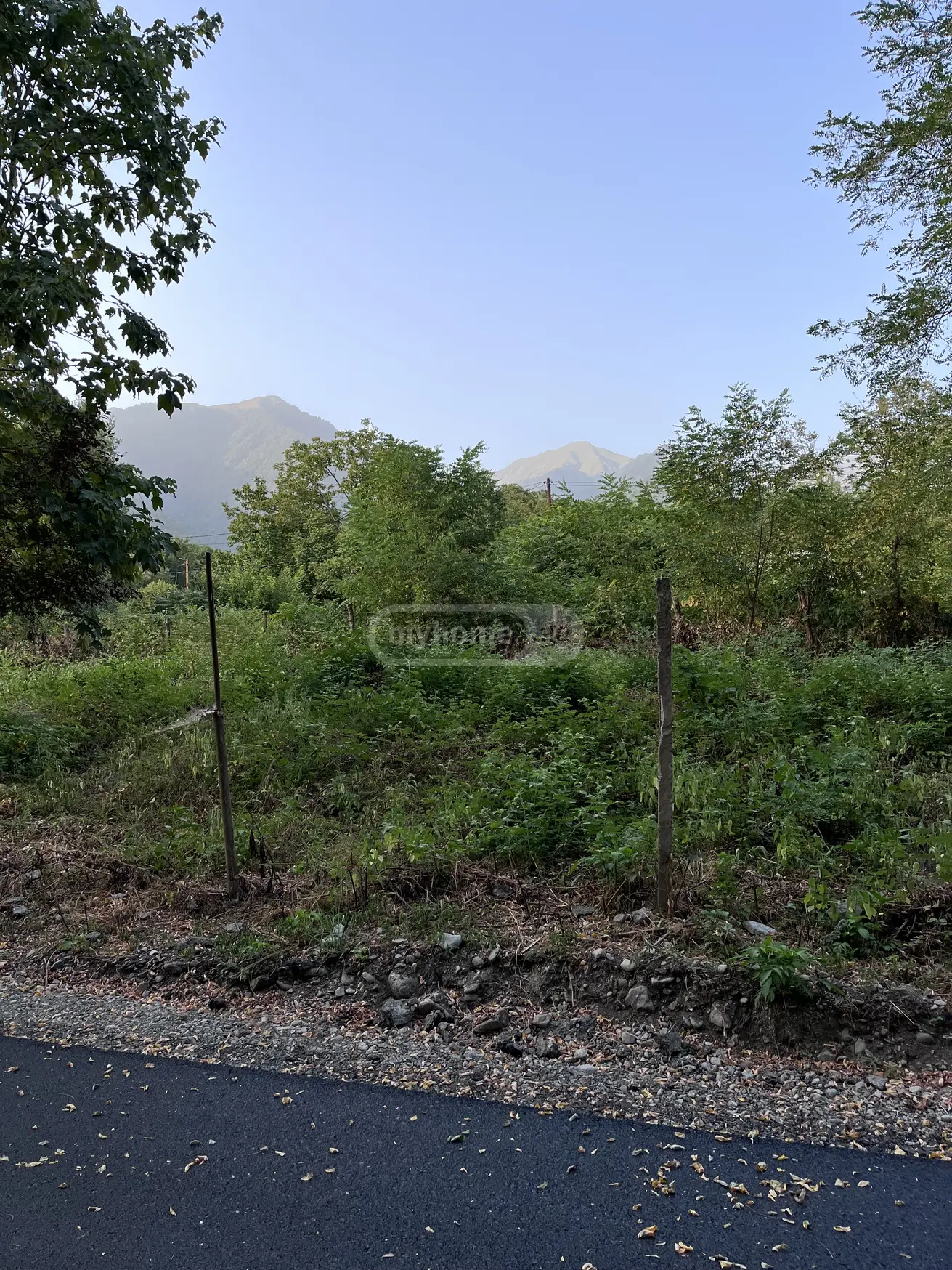 For Sale Ara Sasoplo-Sameurneo Land Plot Lagodekhshi view 4