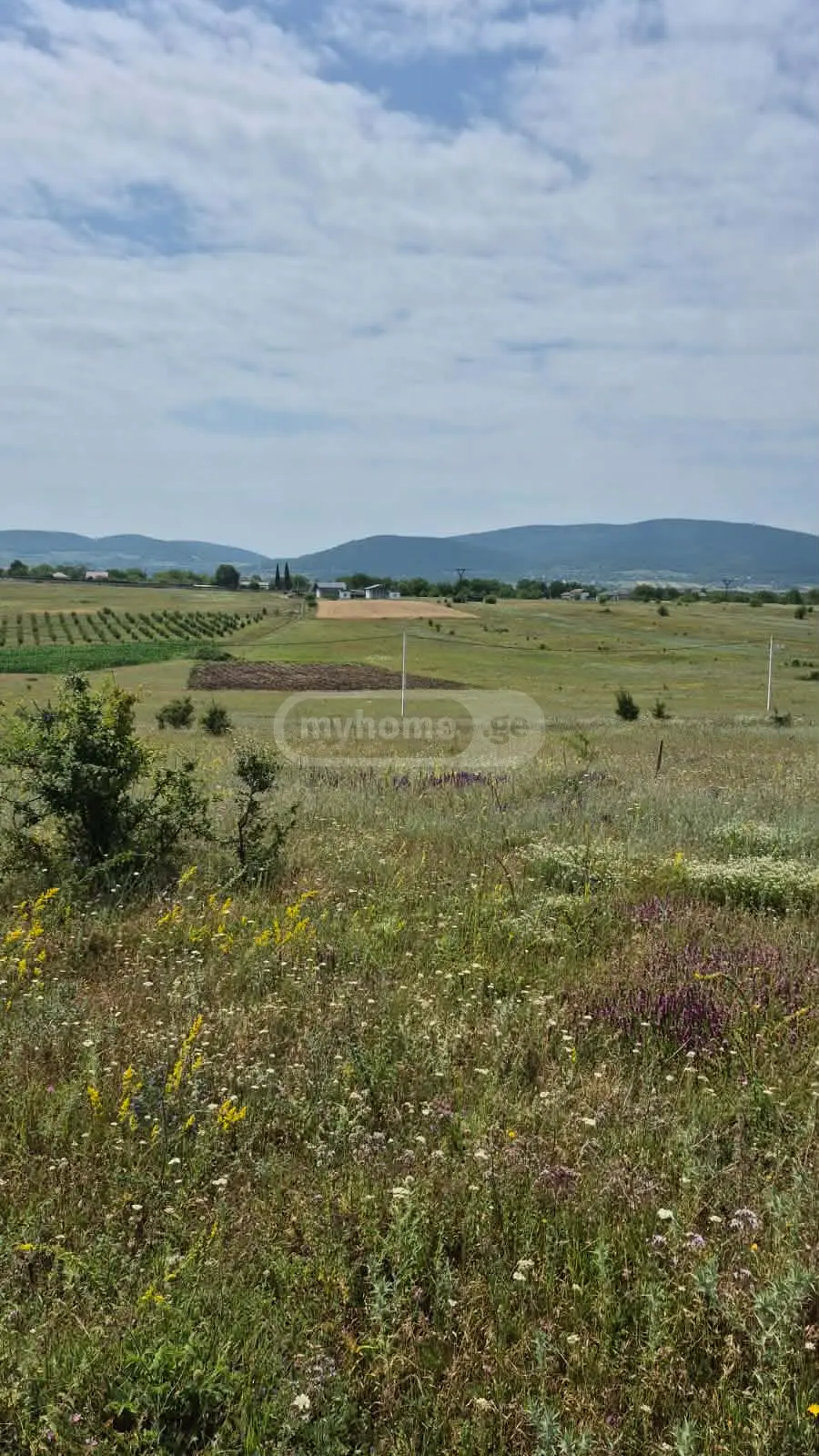 იყიდება მიწა / ნაკვეთი Dushetis Munitsipalitetshiში view 2
