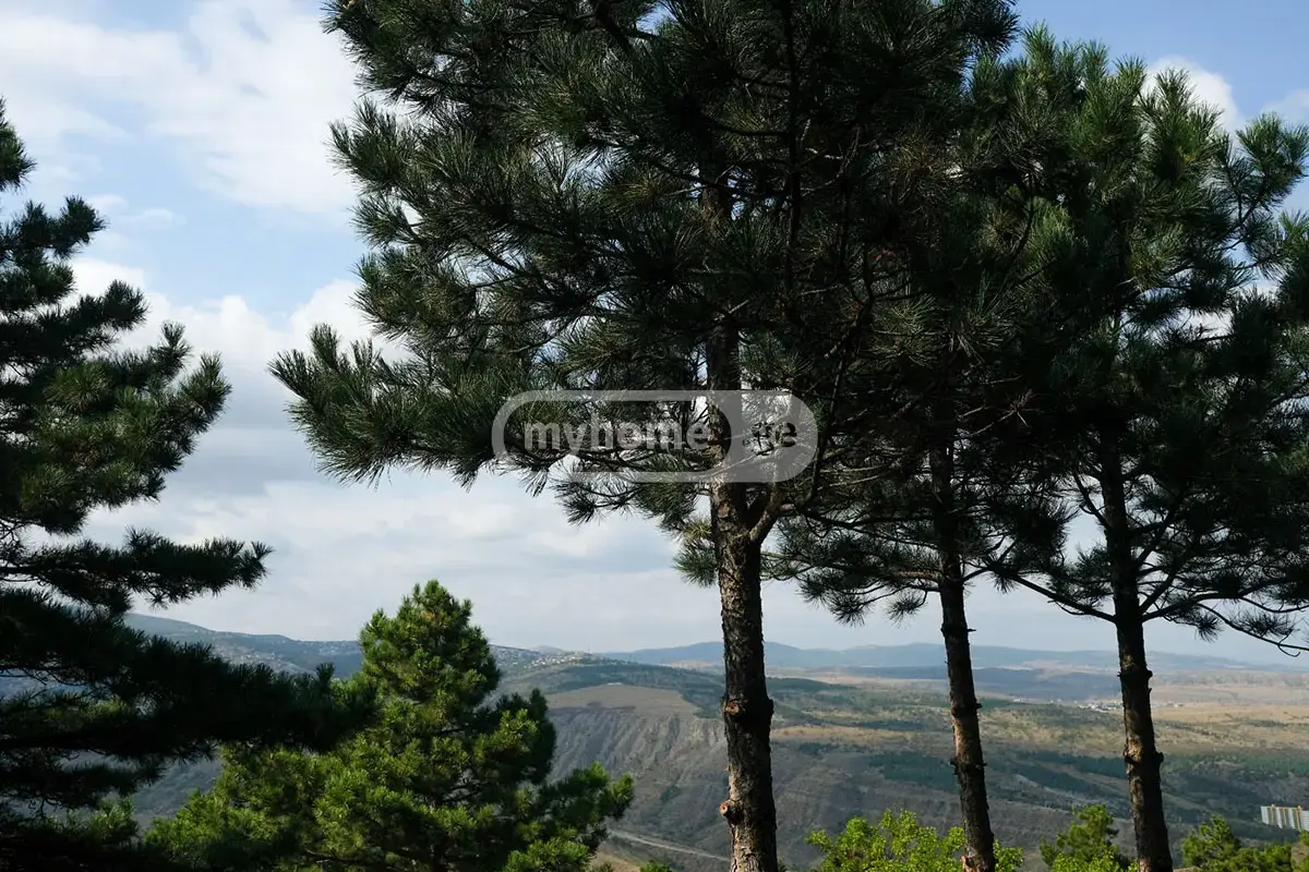 For Sale 8 Room Private House Tsqnetshi view 10