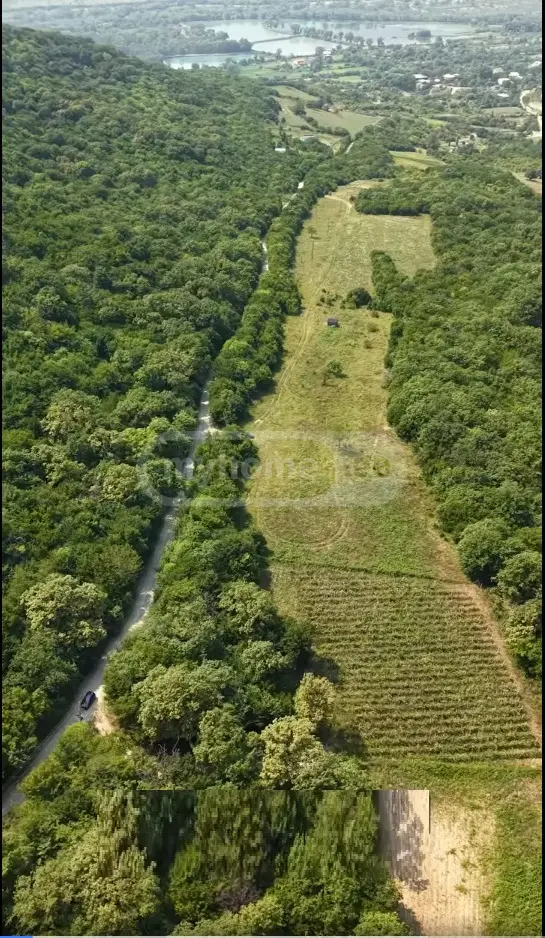 For Sale Sasoplo-Sameurneo Land Plot Dushetis Munitsipalitetshi view 3