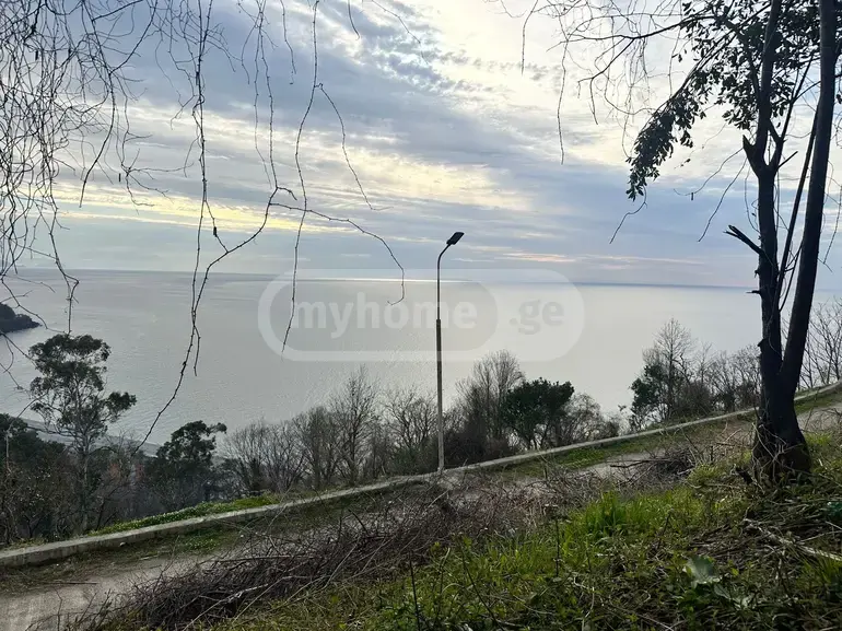 Продажа Земля / участок в Khelvachauris Munitsipalitetshi view 4
