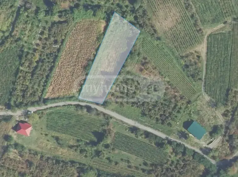 For Sale Sasoplo-Sameurneo Land Plot Qvarlis Munitsipalitetshi view 2