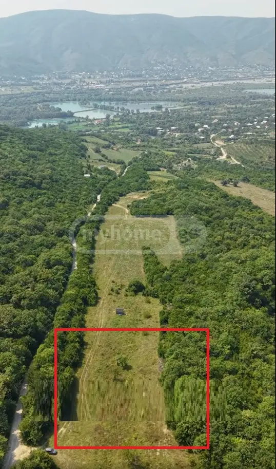 For Sale Sasoplo-Sameurneo Land Plot Dushetis Munitsipalitetshi view 6