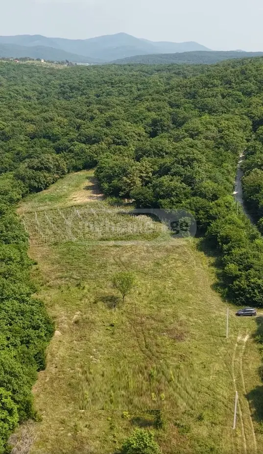 For Sale Sasoplo-Sameurneo Land Plot Dushetis Munitsipalitetshi view 4