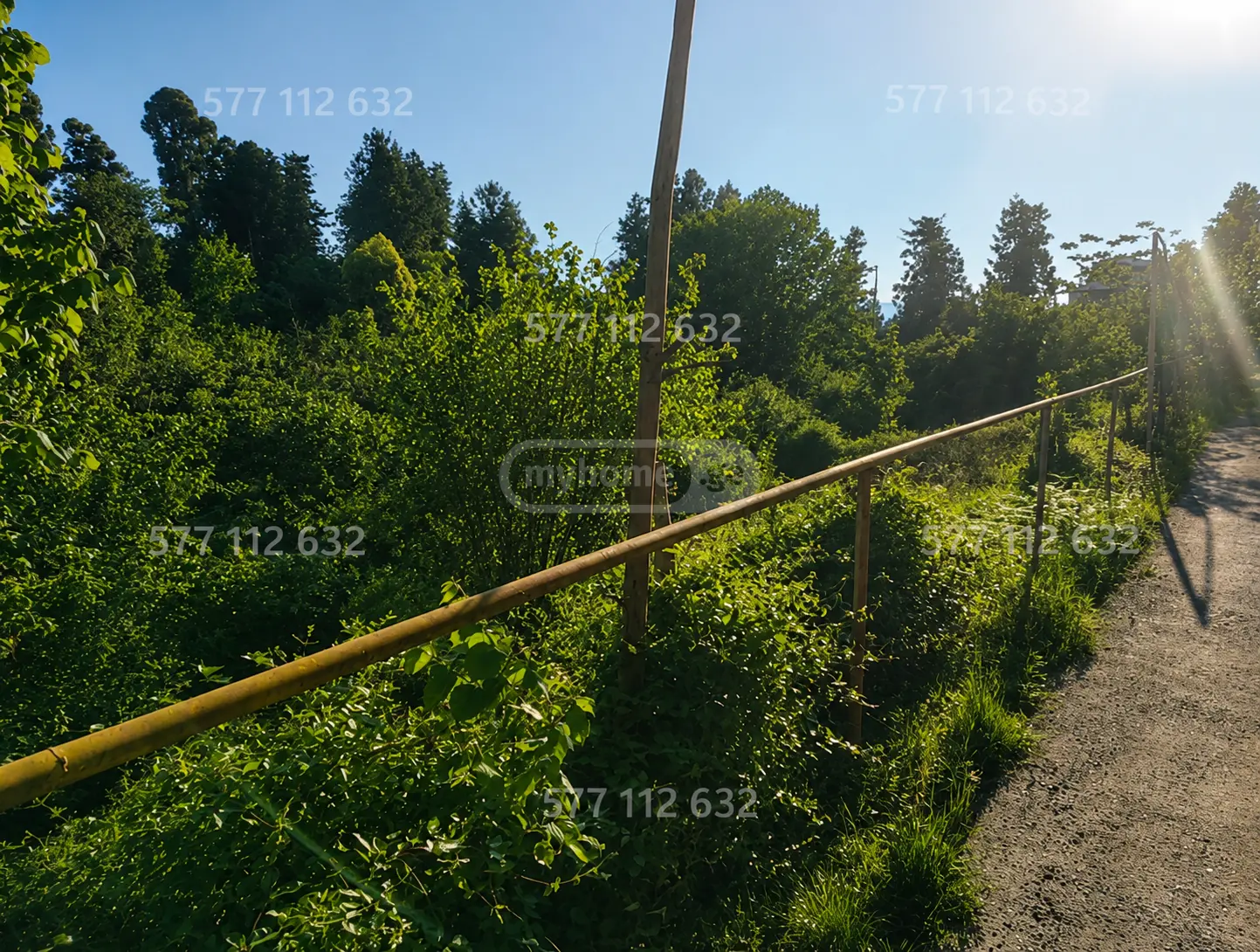 For Sale Sasoplo-Sameurneo Land Plot In Batumi view 2