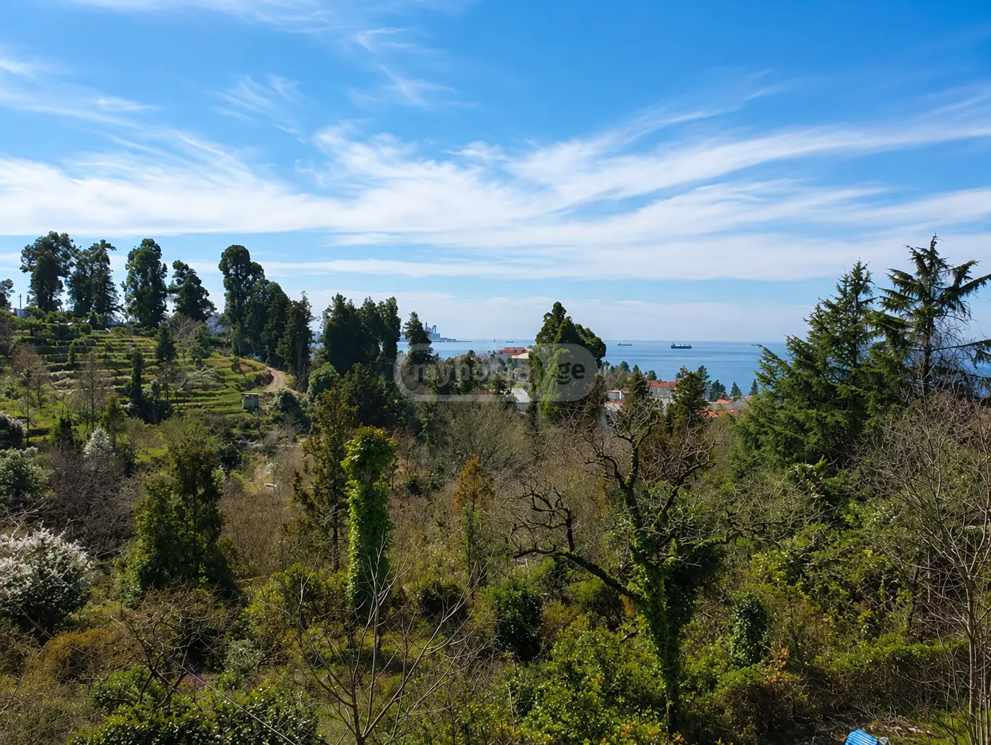For Sale Sasoplo-Sameurneo Land Plot In Batumi view 1