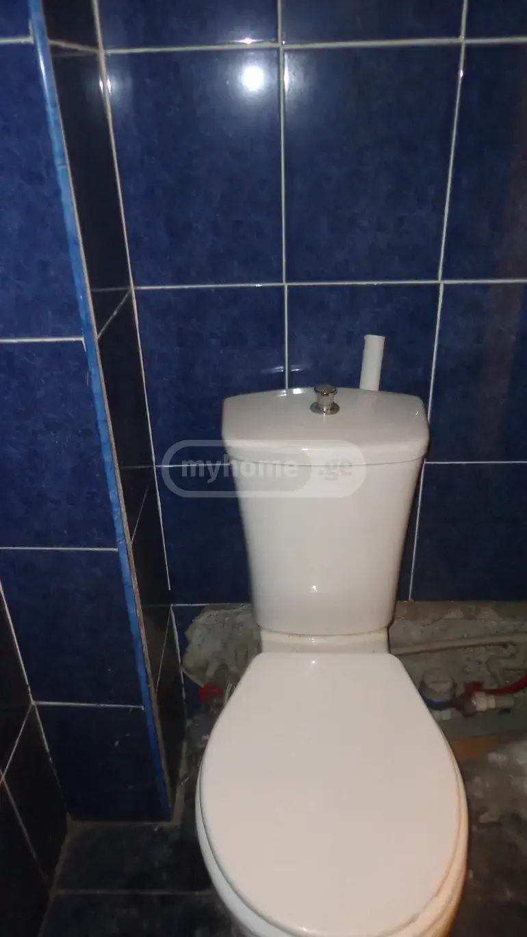 For Sale Universaluri Commercial Space Rustavshi view 6